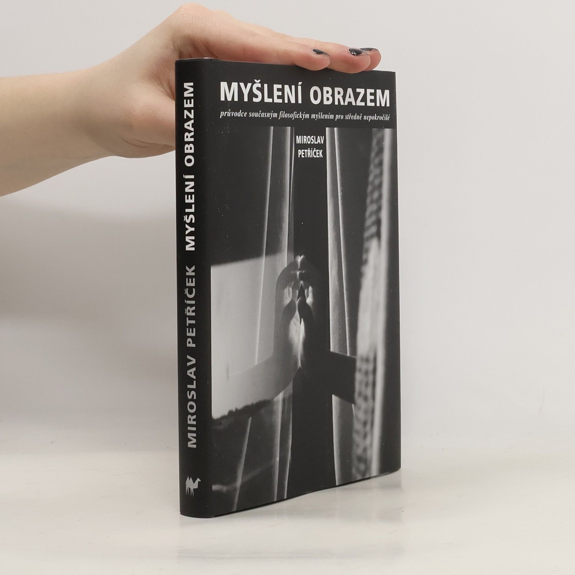 Miroslav Petříček Myšlení obrazem: Průvodce současným filosofickým myšlením pro středně nepokročilé