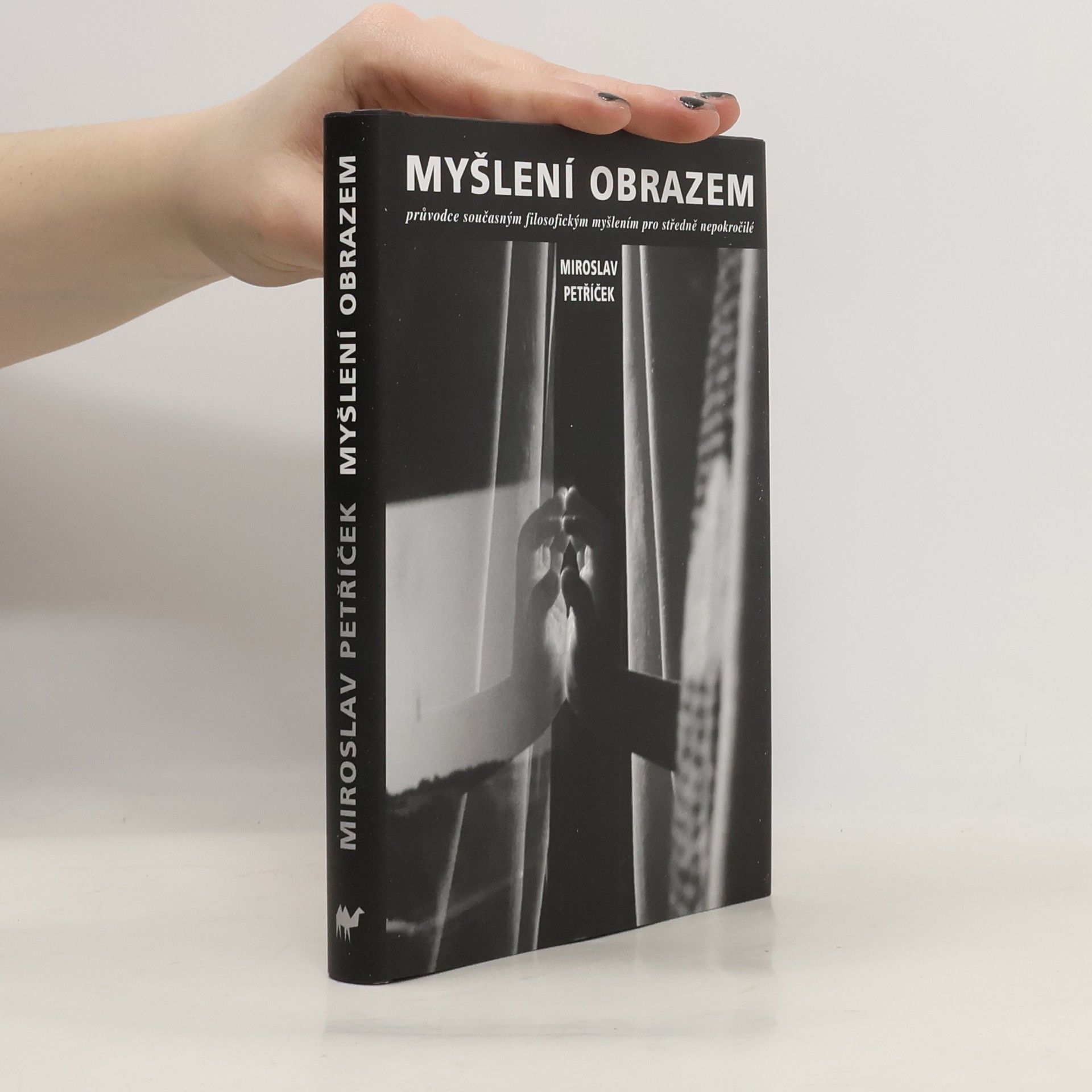 Miroslav Petříček Myšlení obrazem: Průvodce současným filosofickým myšlením pro středně nepokročilé
