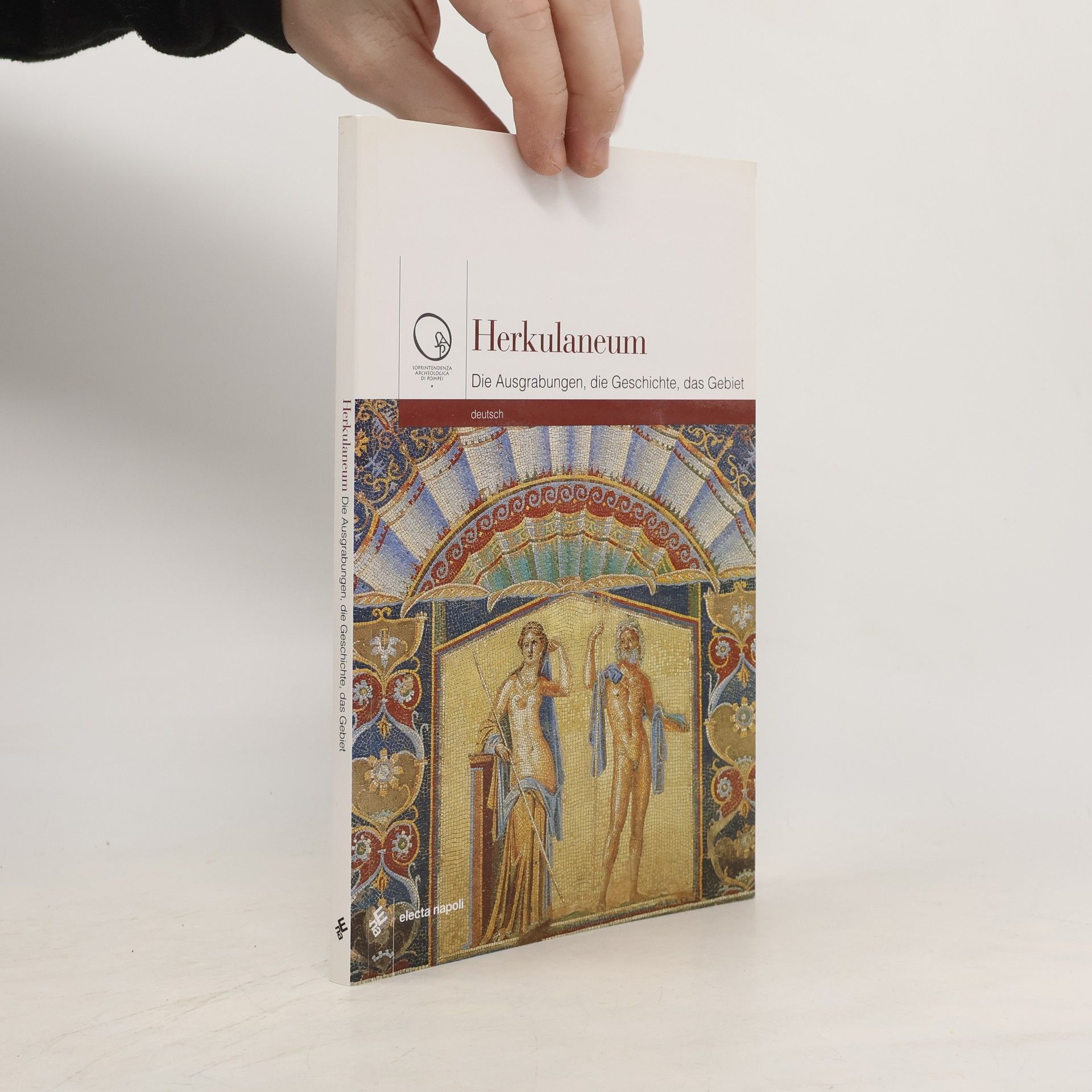 Autorenkollektiv Herkulaneum: Die Ausgrabungen, die Geschichte, das Gebiet