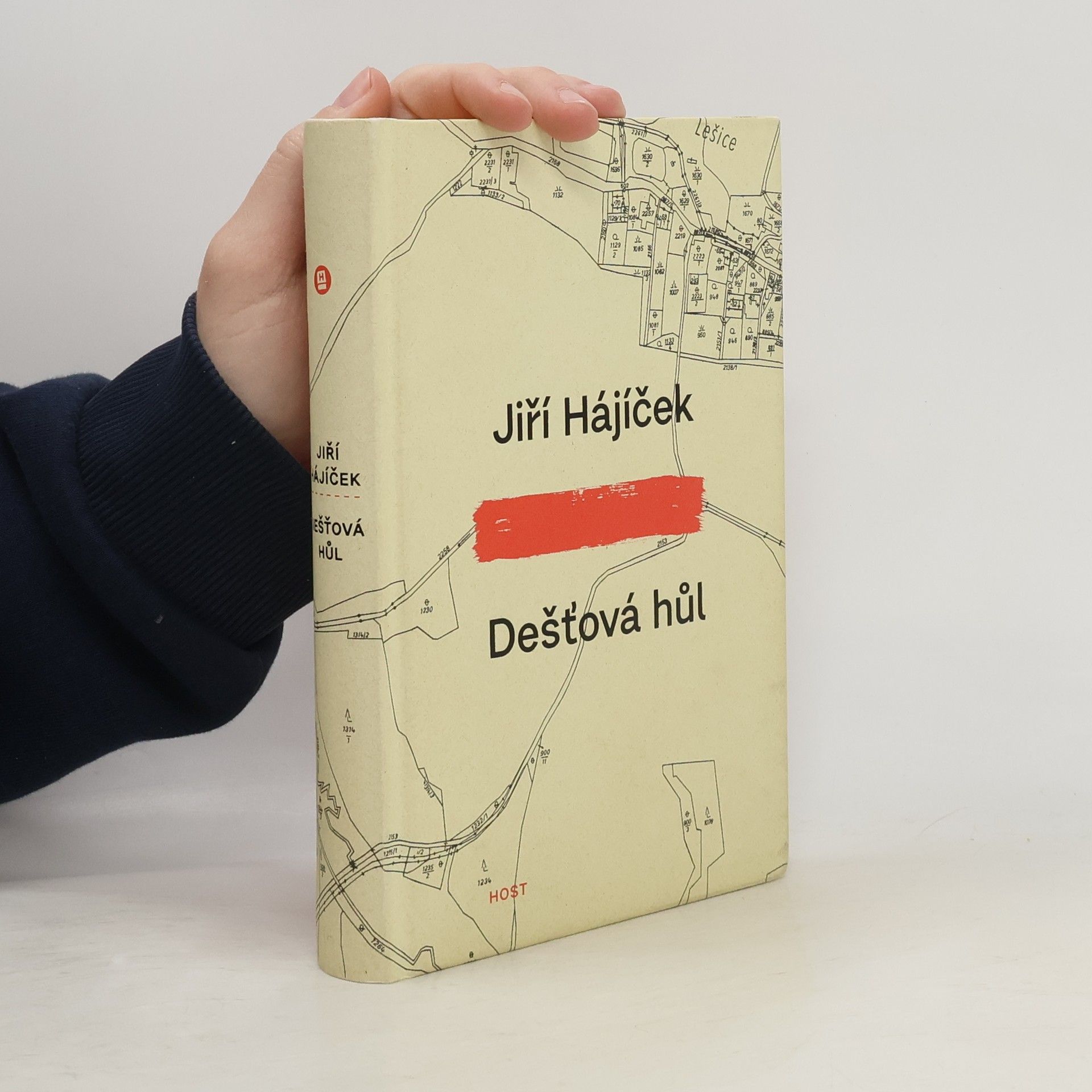 Jiří Hájíček Dešťová hůl