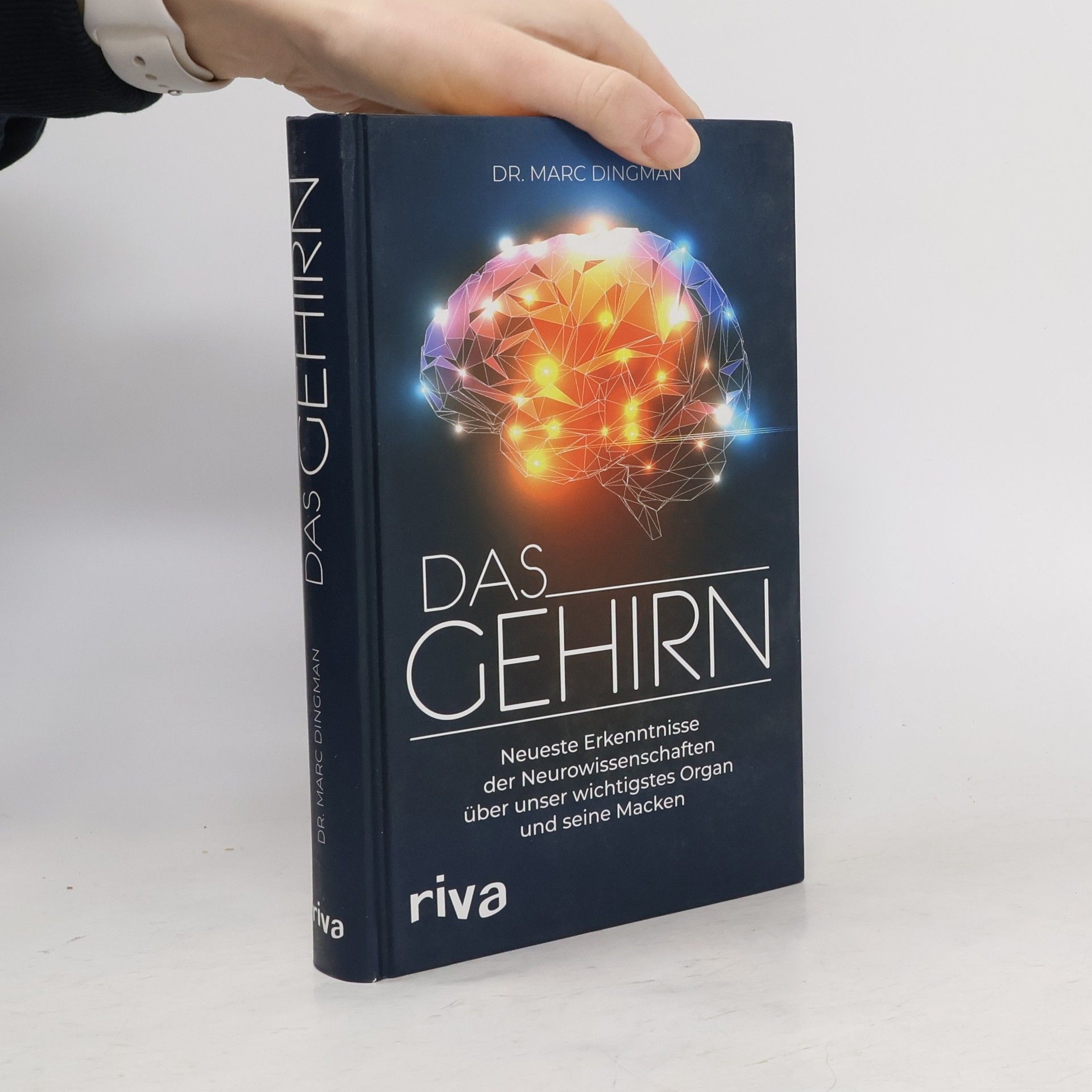 Marc Dingman Das Gehirn