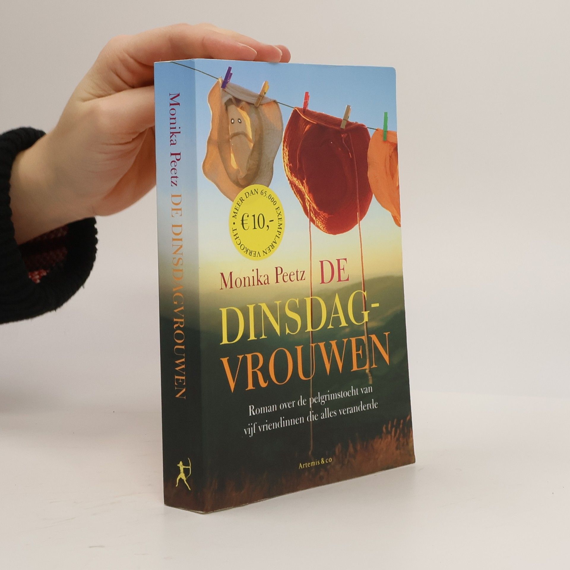 Monika Peetz De dinsdagvrouwen