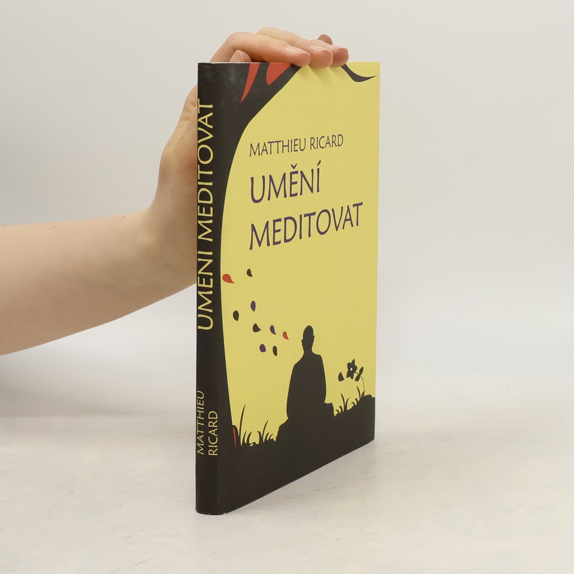 Matthieu Ricard Umění meditovat