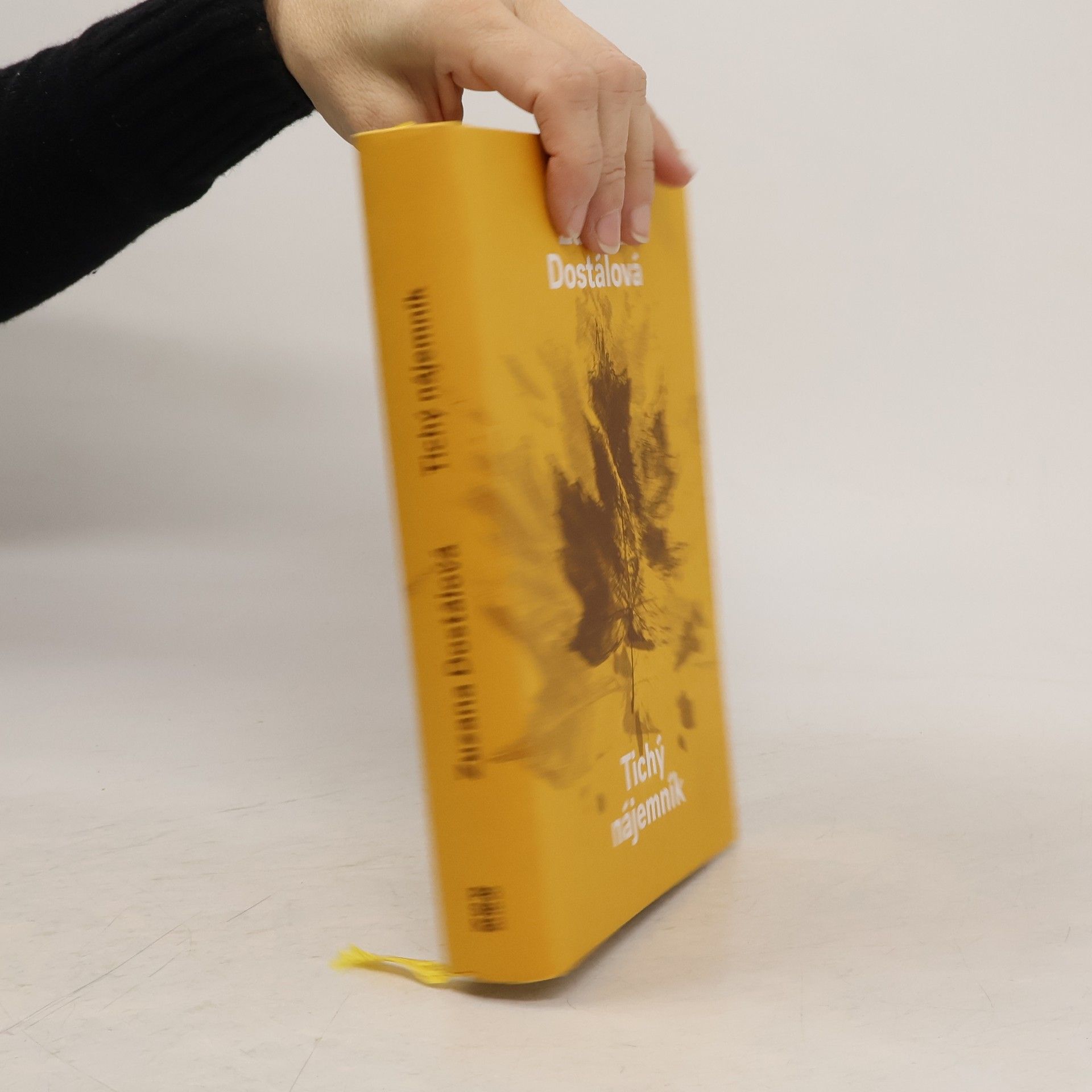 Zuzana Dostálová Tichý nájemník