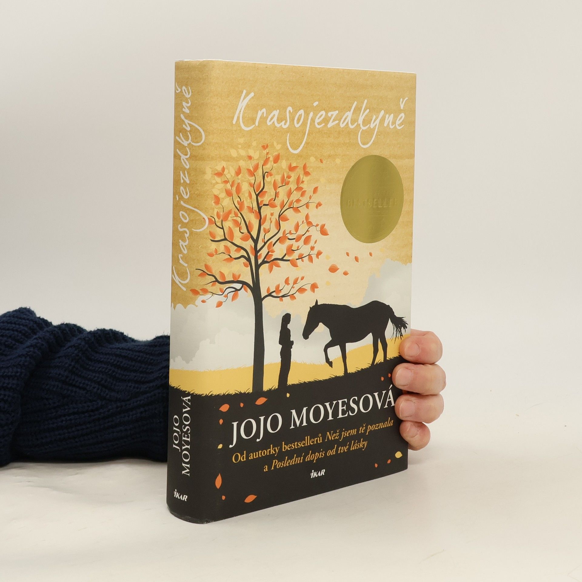 Jojo Moyes Krasojezdkyně