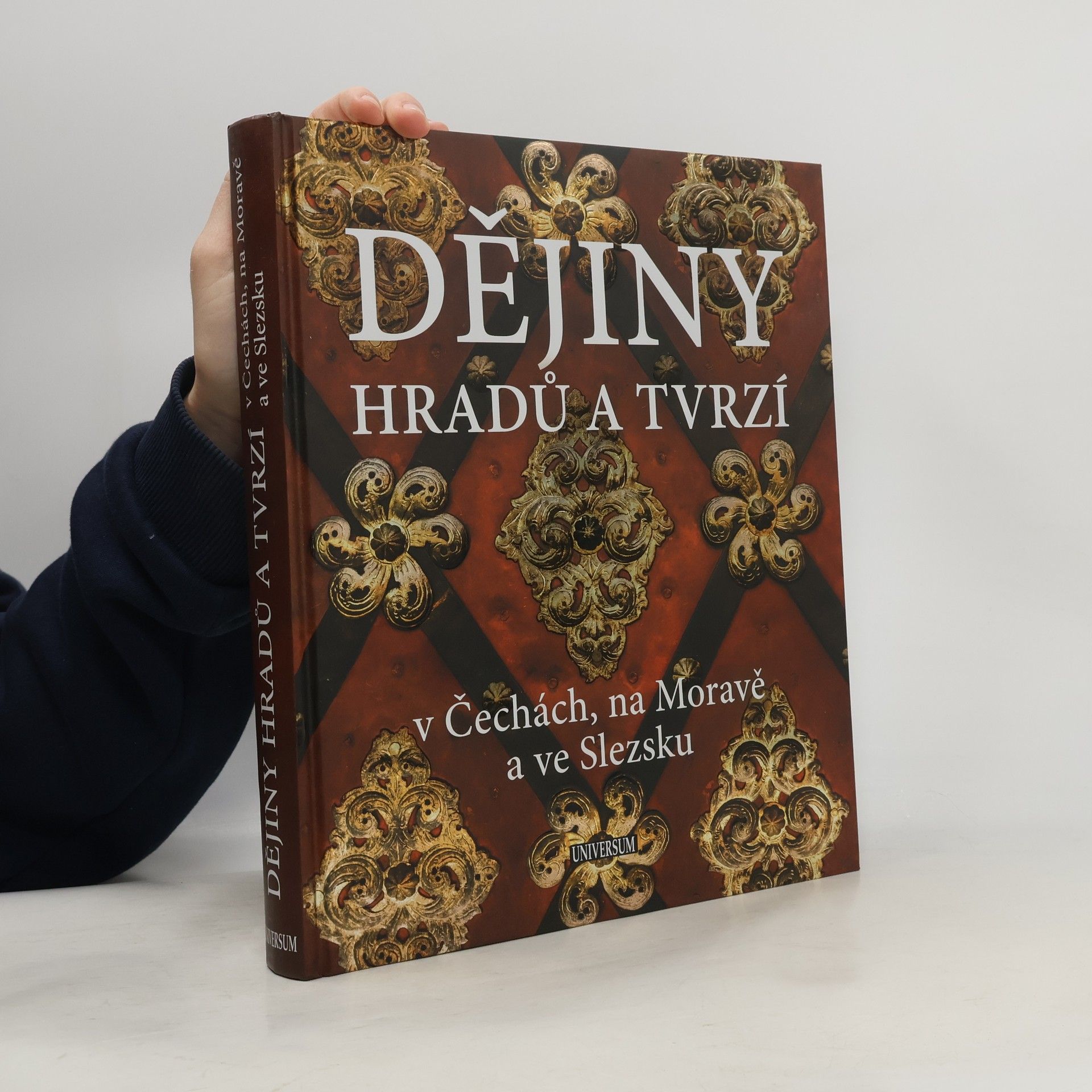 P. David Dějiny hradů a tvrzí v Čechách, na Moravě a ve Slezsku