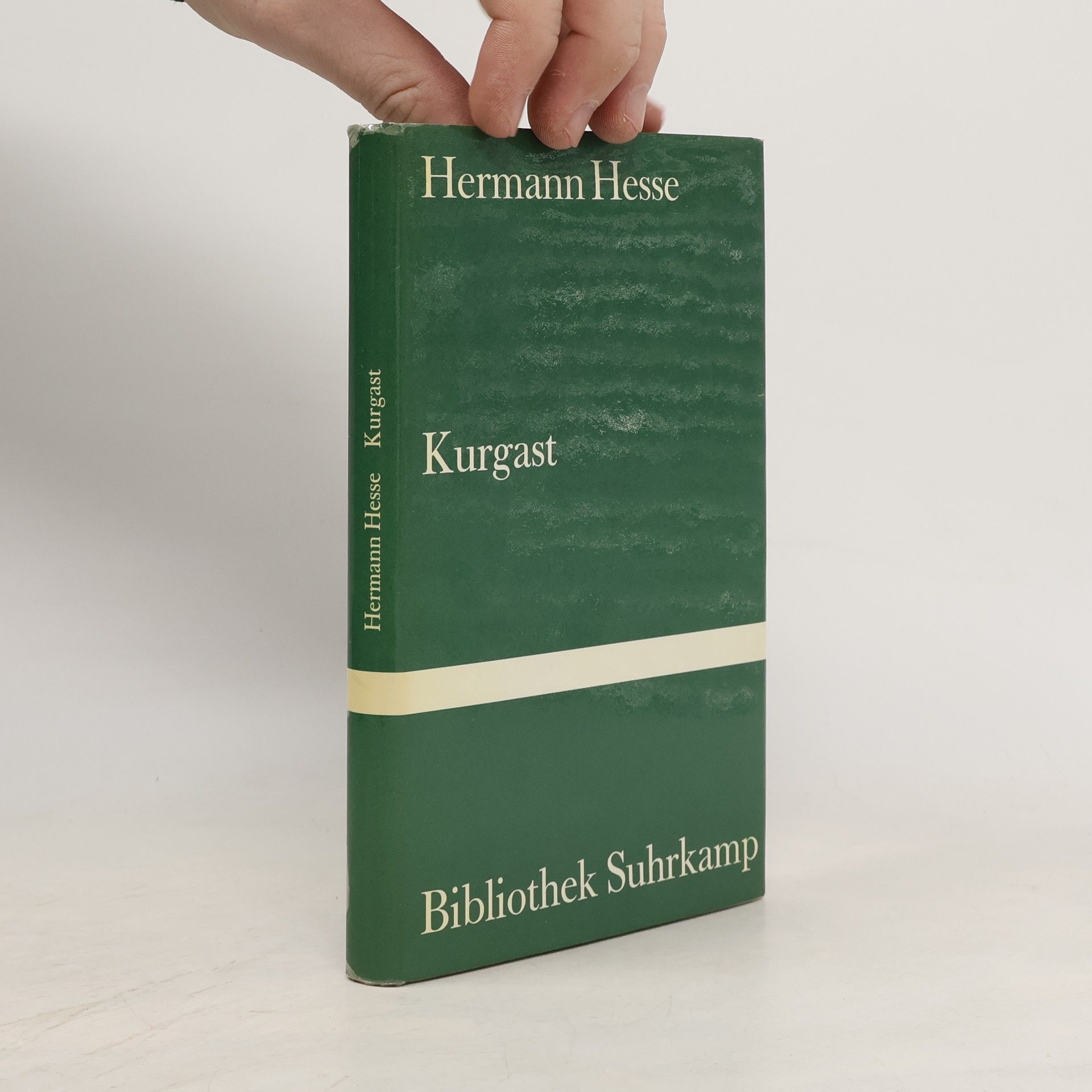 Hermann Hesse Kurgast