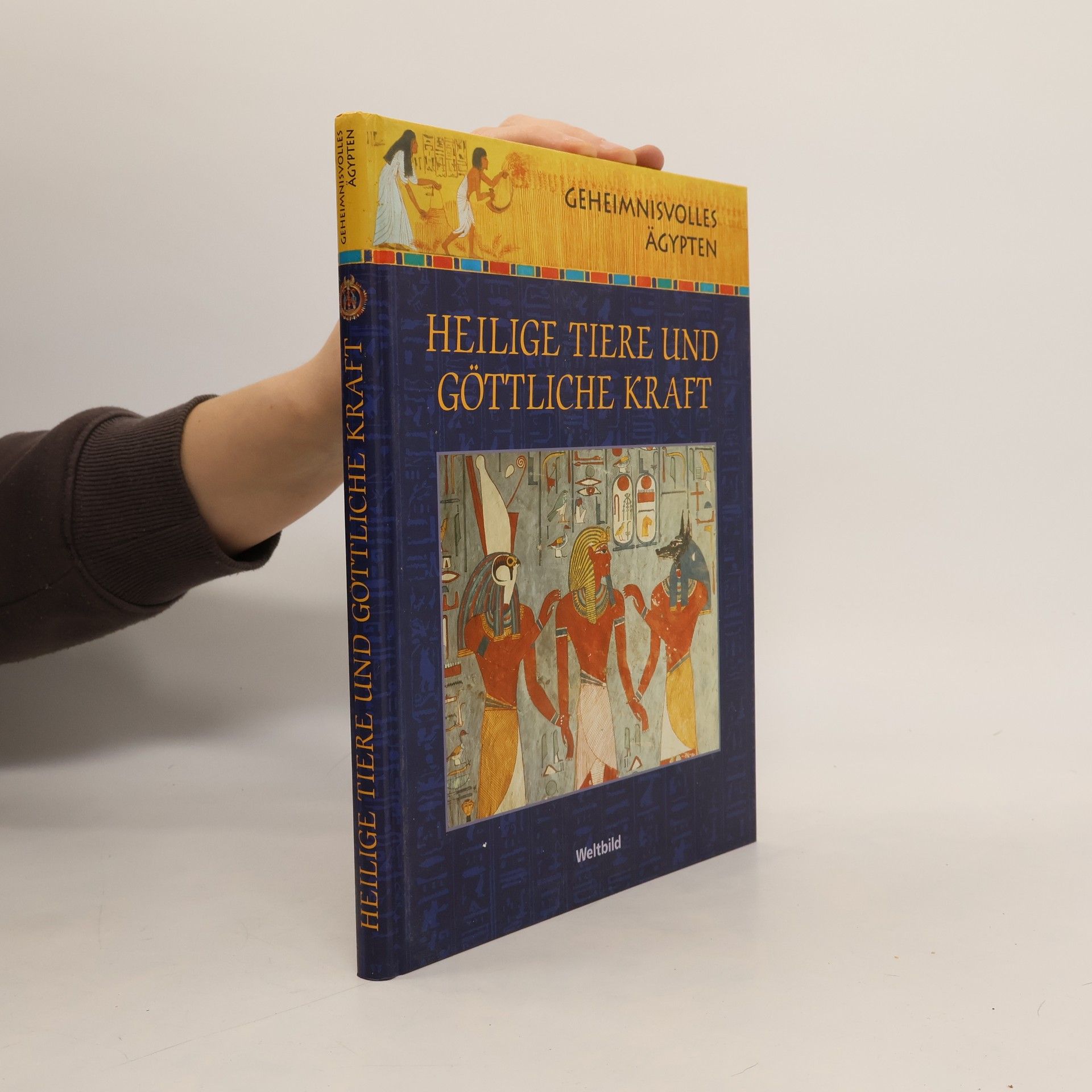 Autorenkollektiv Heilige Tiere und Göttliche Kraft