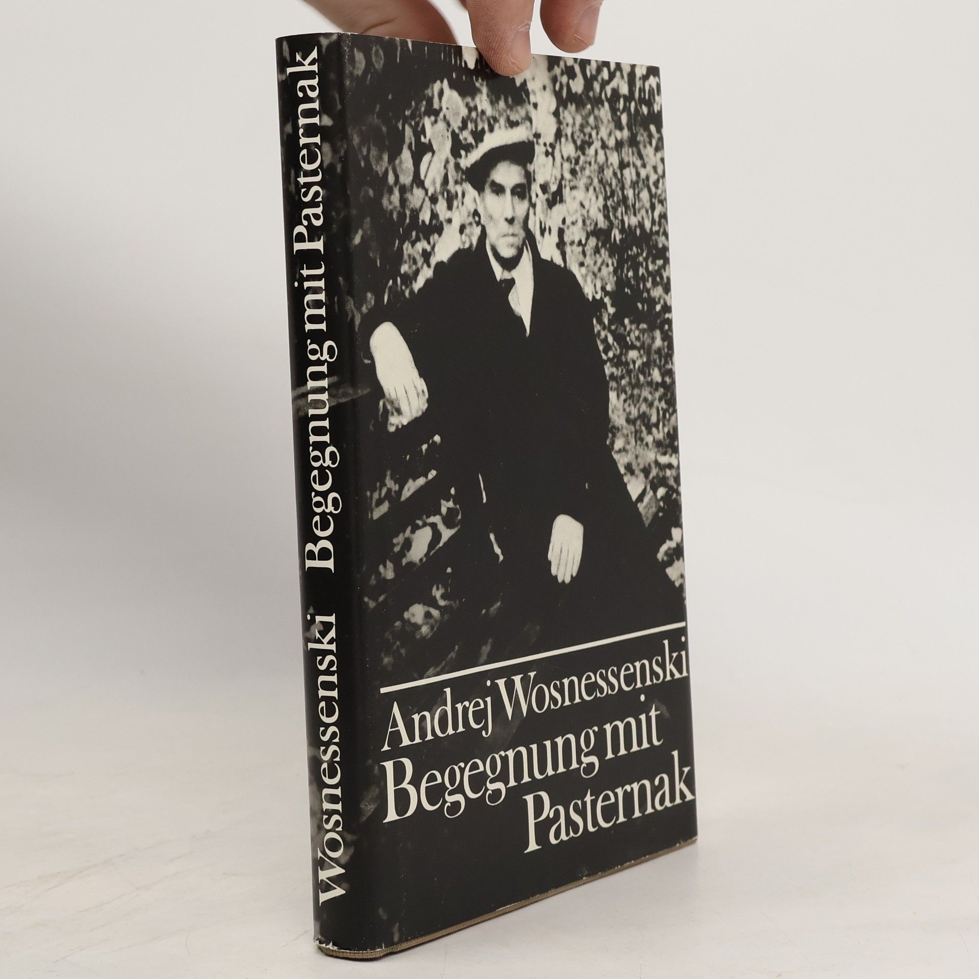 Begegnung mit Pasternak