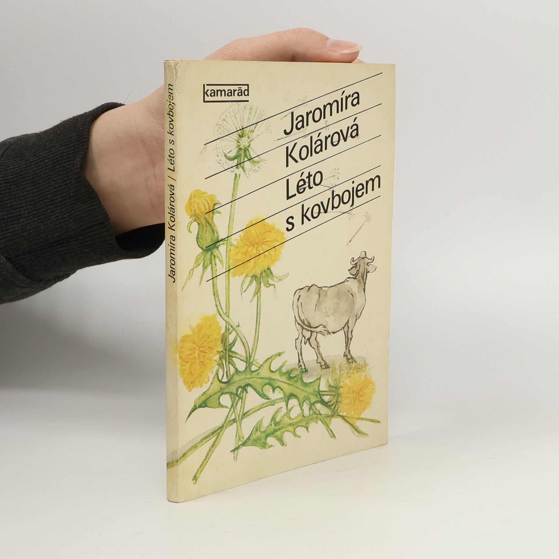 Jaromíra Kolárová Léto s kovbojem