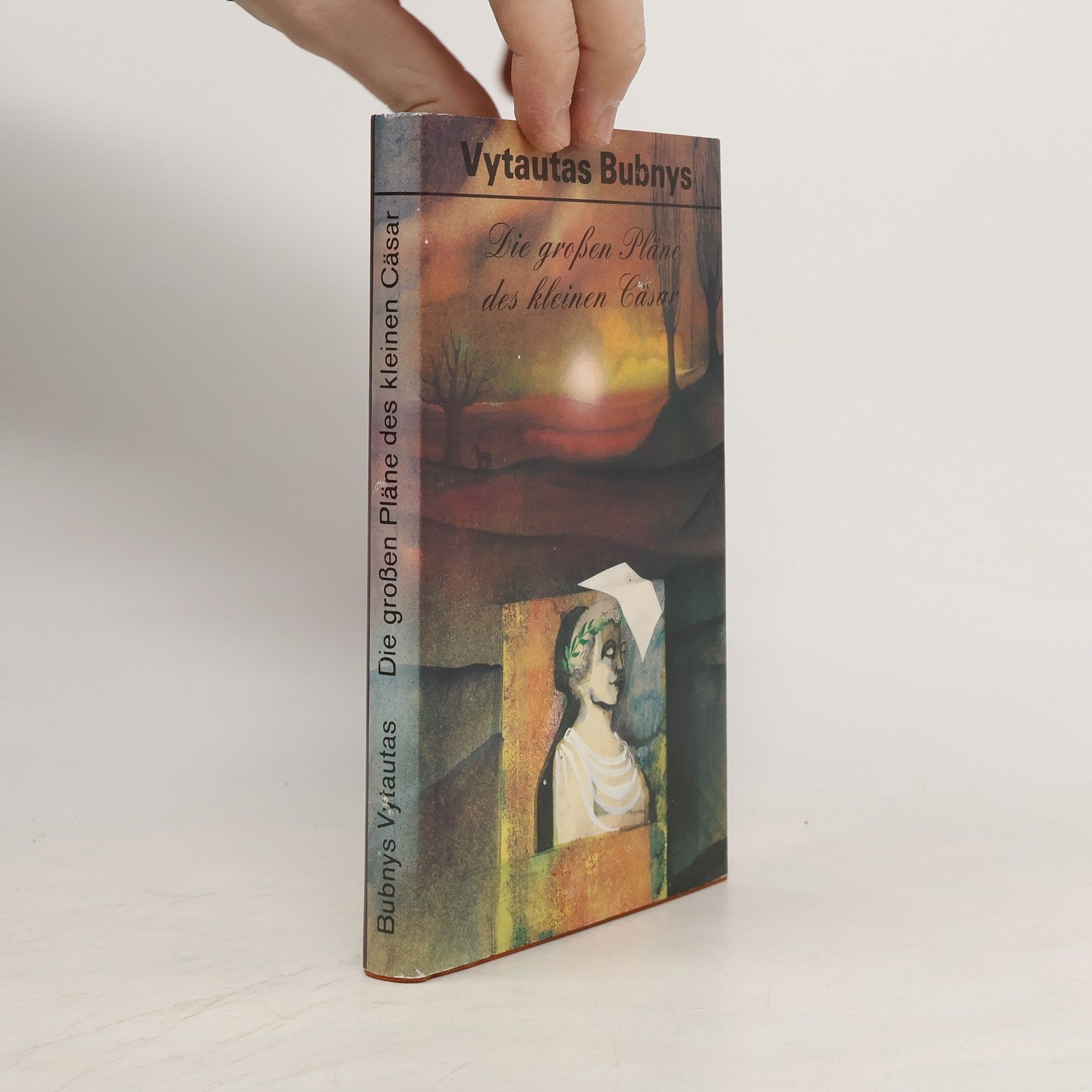 Vytautas Bubnys Die großen Pläne des kleinen Cäsar: Roman