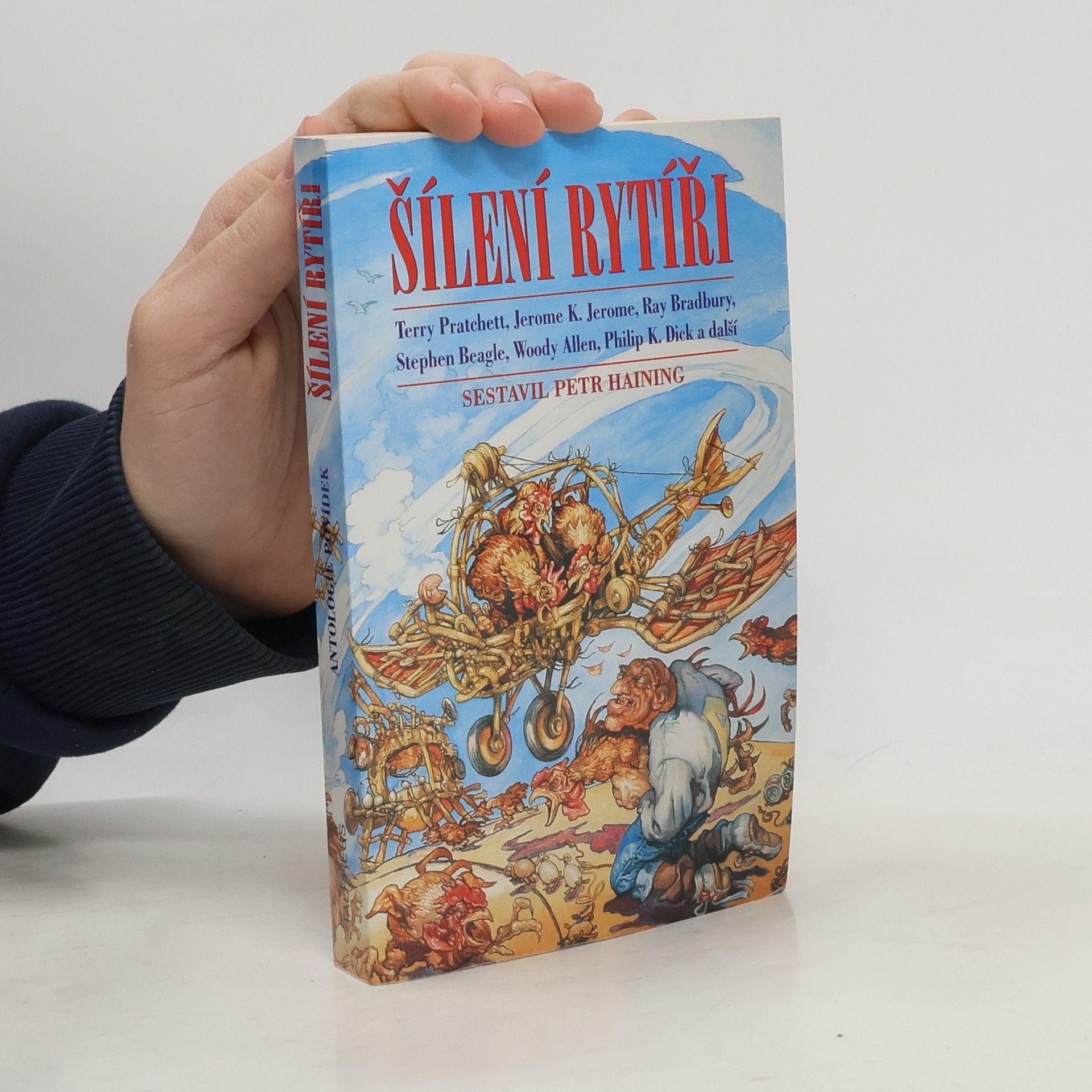 Terry Pratchett Šílení rytíři