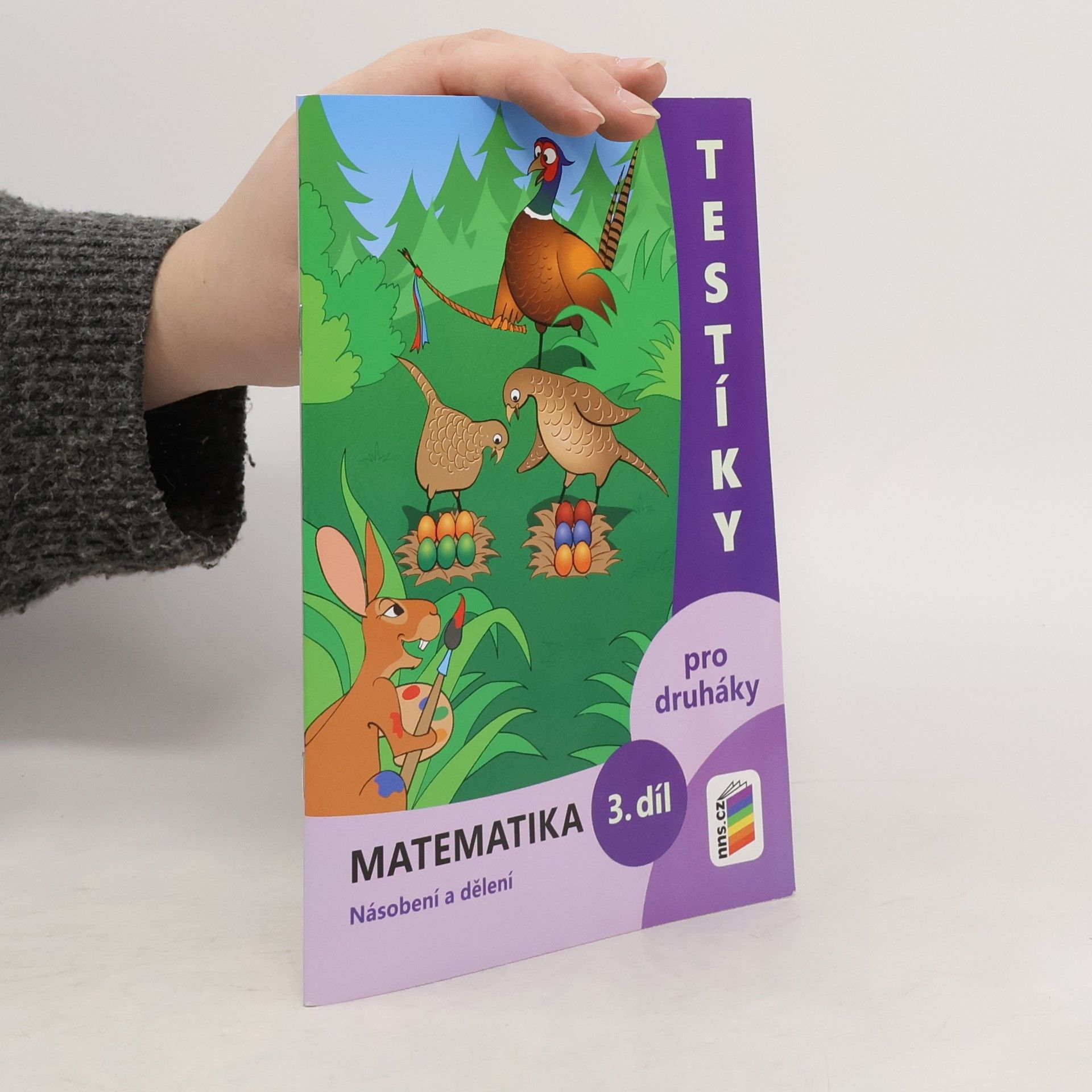 NNS Testíky pro druháky – matematika, 3. díl (barevný pracovní sešit)