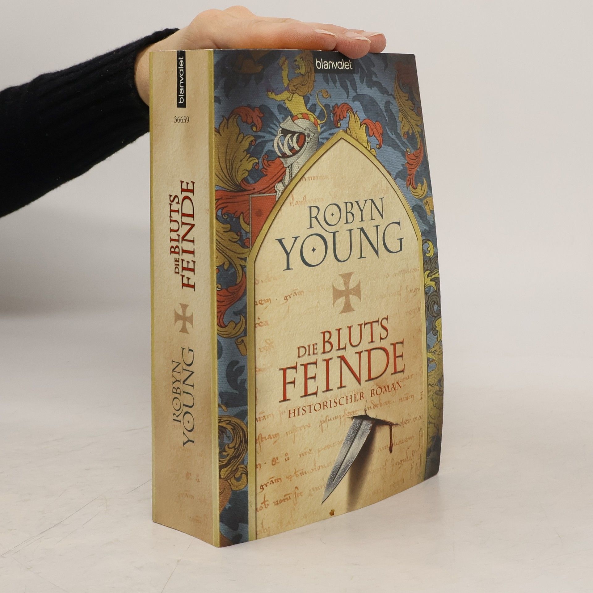 Robyn Young Die Blutsfeinde