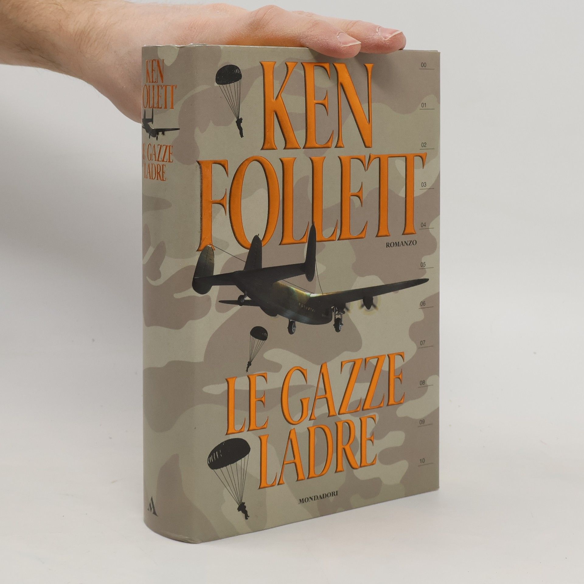 Annamaria Raffo Le gazze ladre