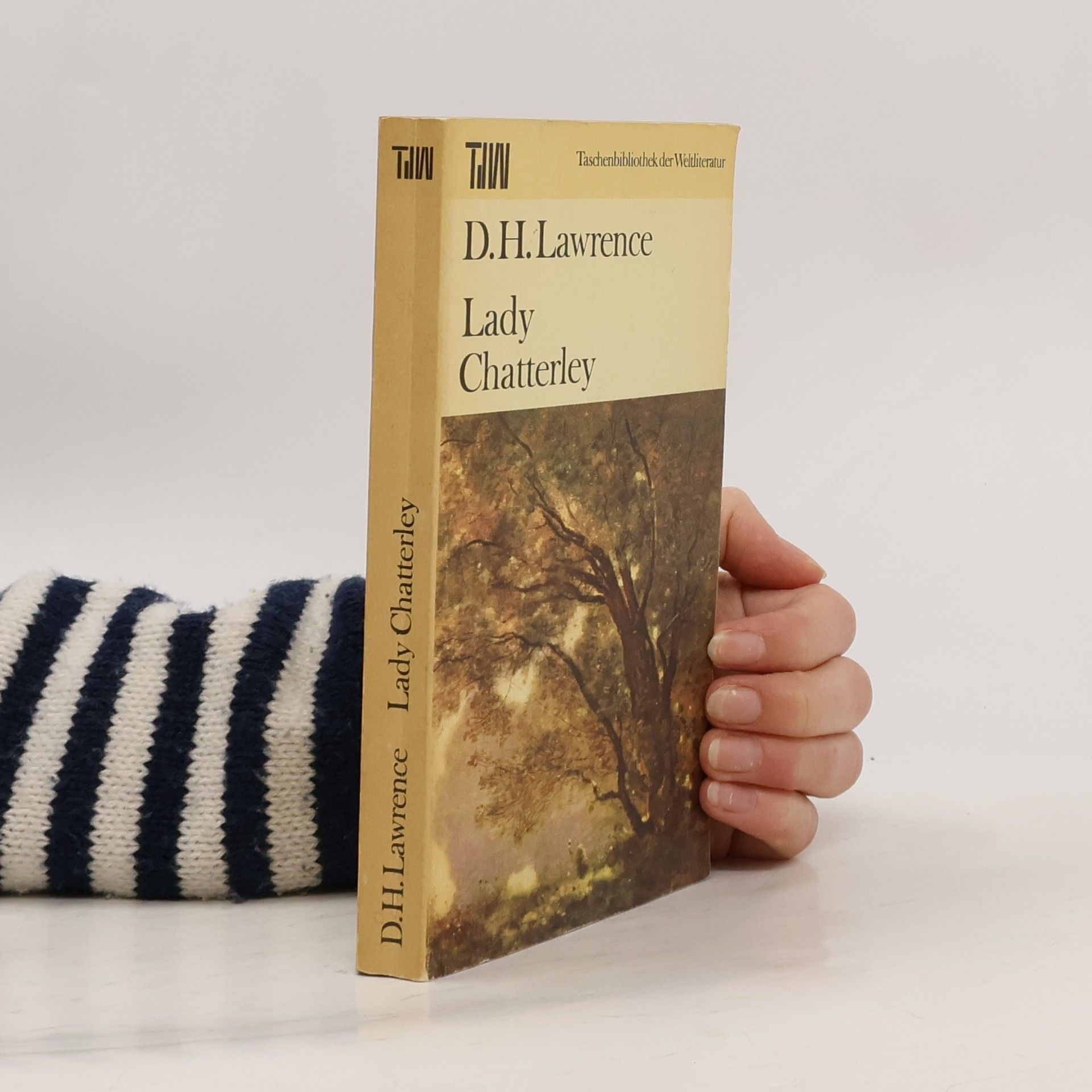 D. H. Lawrence Lady Chatterley