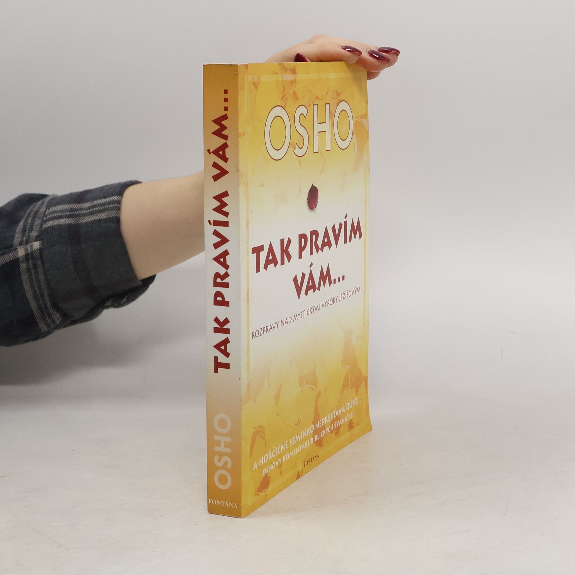 Tak pravím vám... Rozmluvy o mystických výrocích Ježíšových