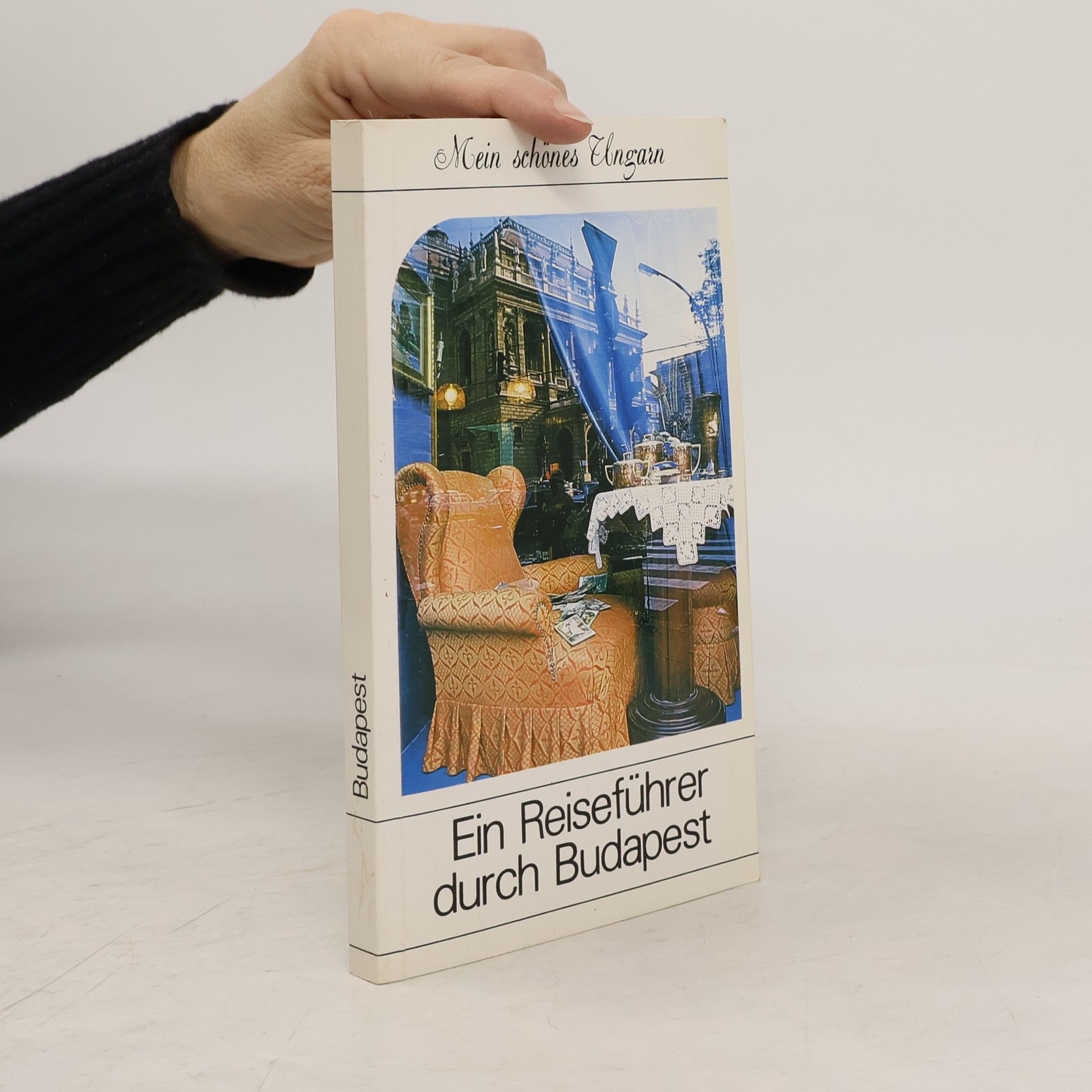 Katalin Pallai Ein Reiseführer durch Budapest