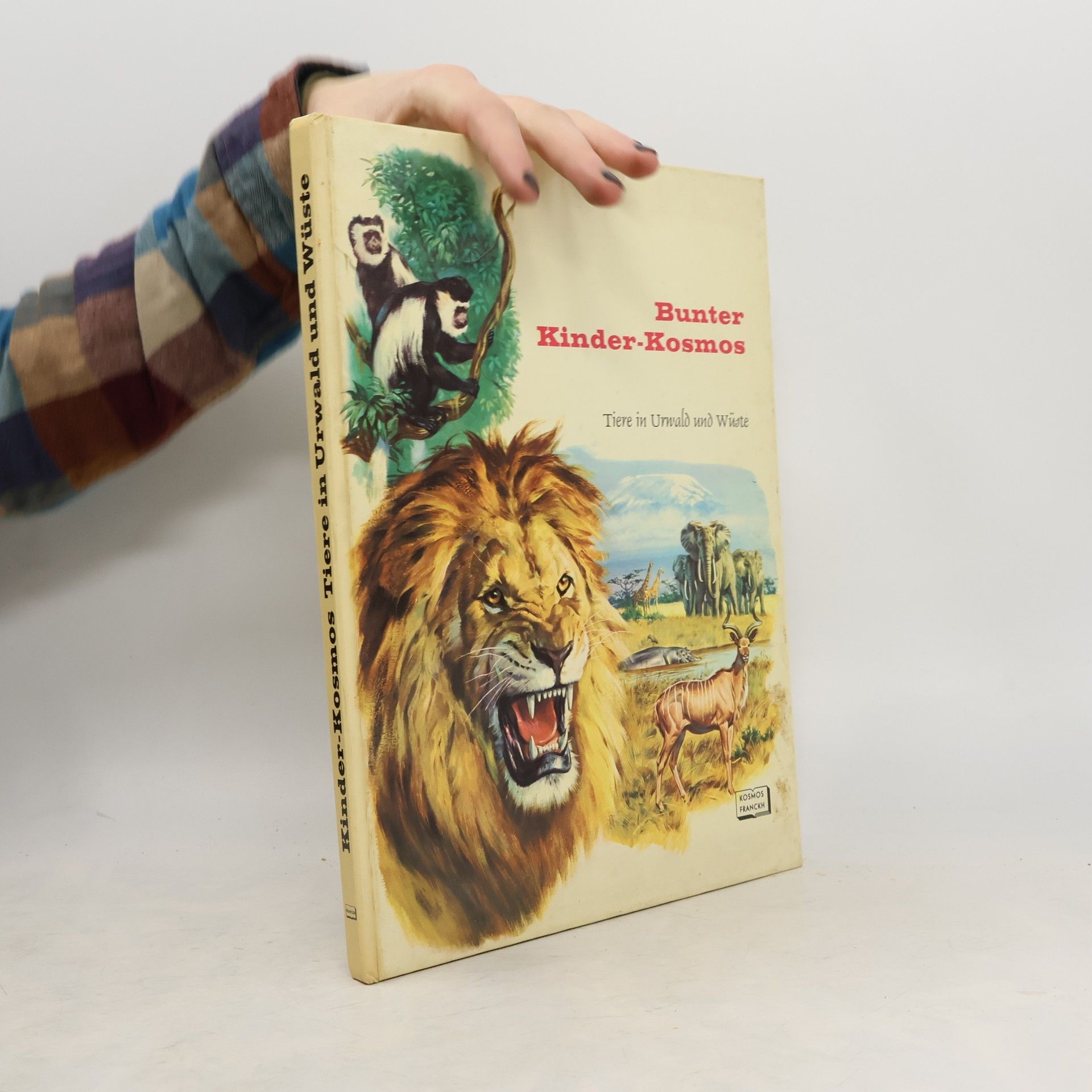 Rinaldo D. D'Ami Bunter Kinder-Kosmos