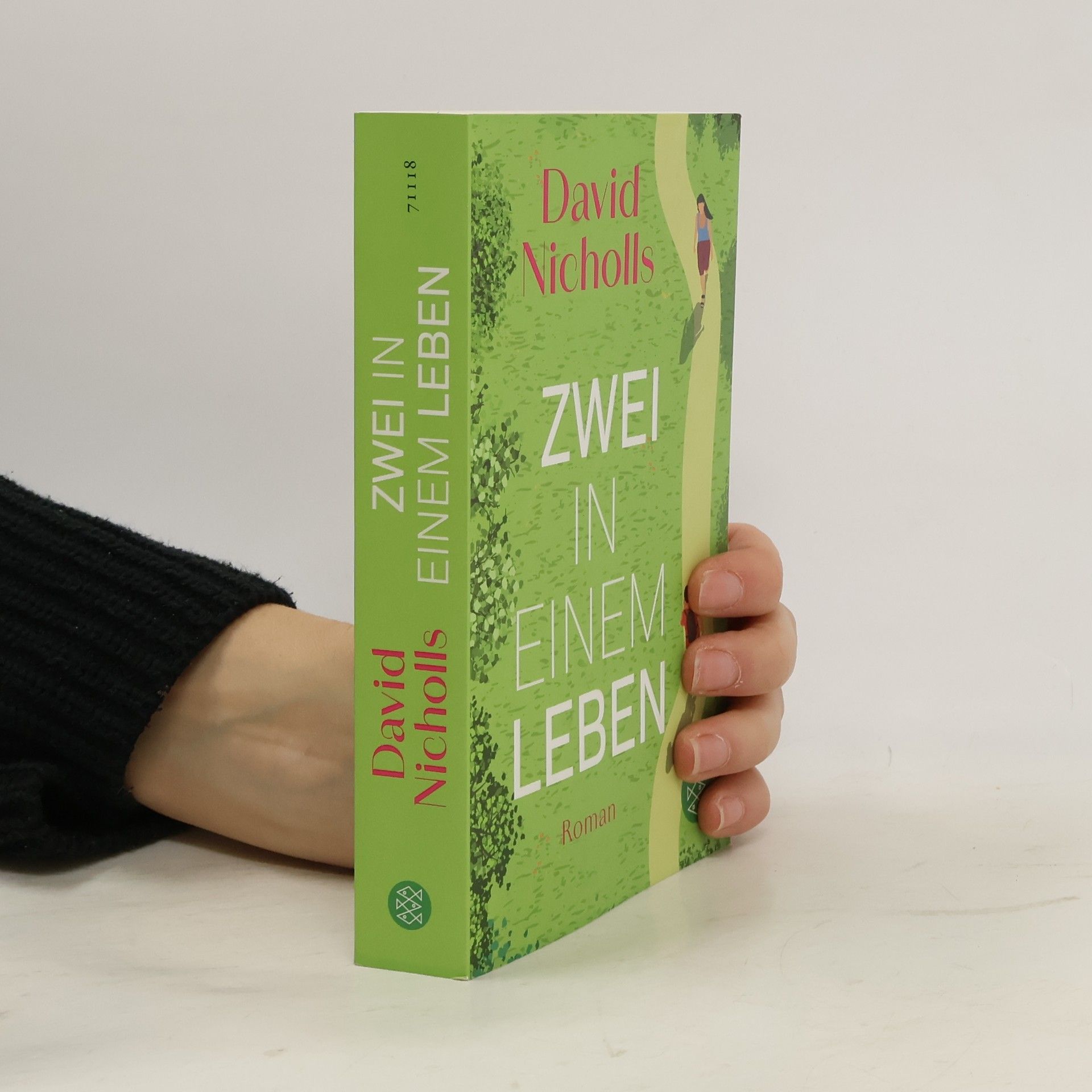 David Nicholls Zwei in einem Leben