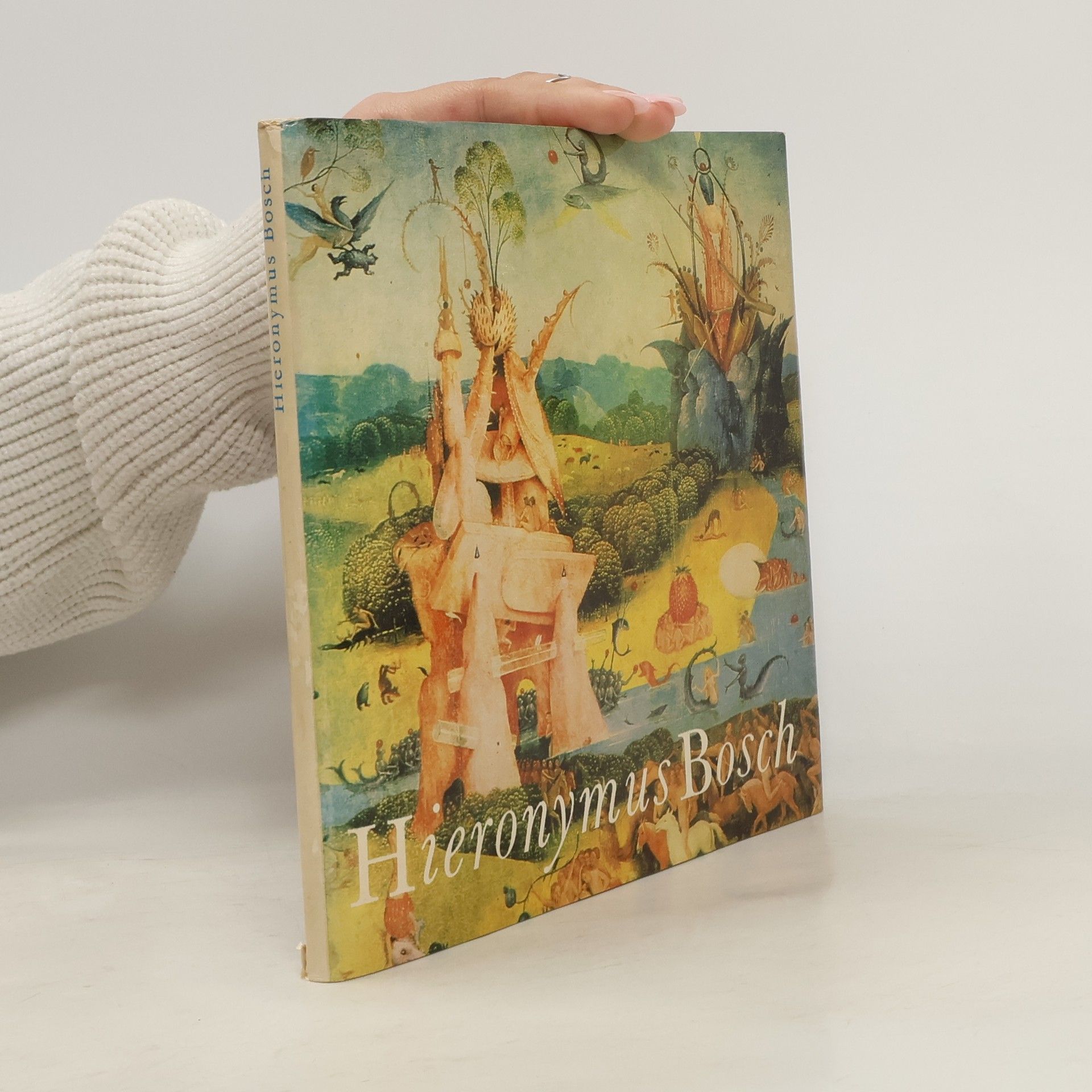 Hana Volavková Hieronymus Bosch