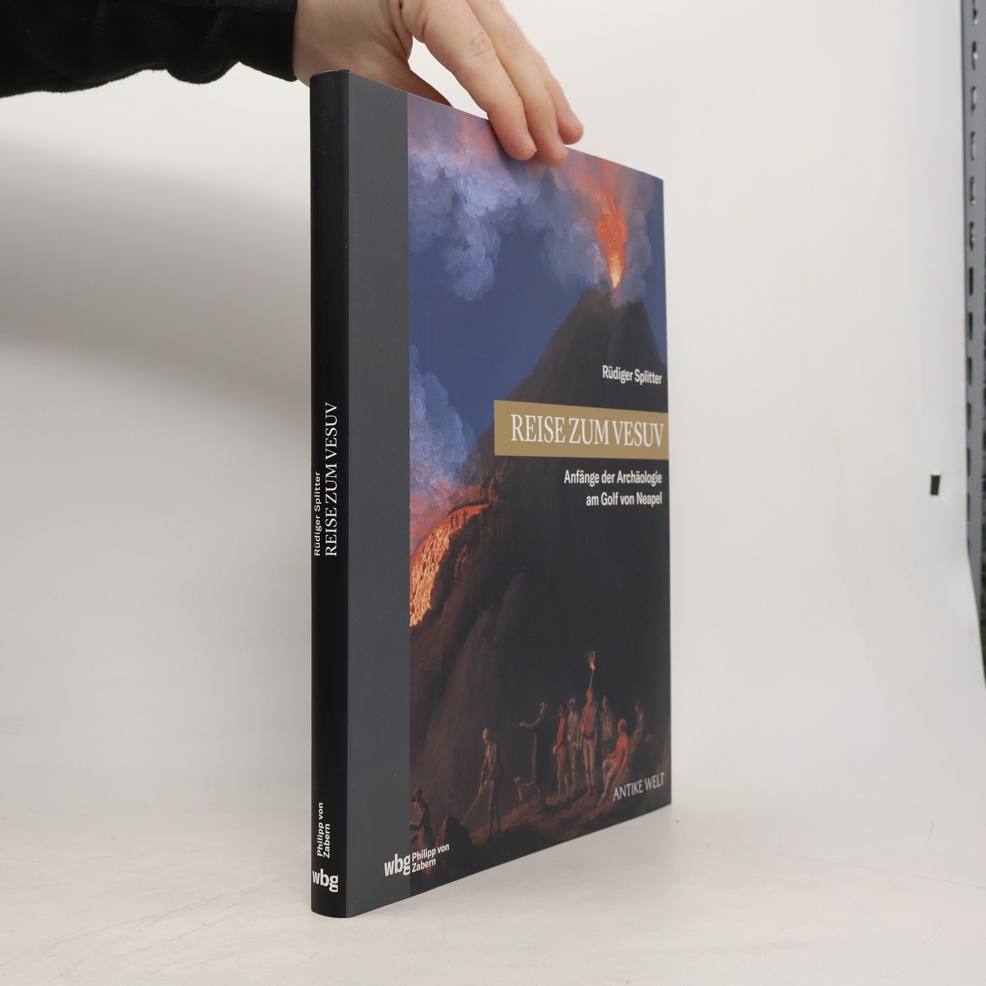 Reise zum Vesuv. Die Anfänge der Archäologie am Golf von Neapel