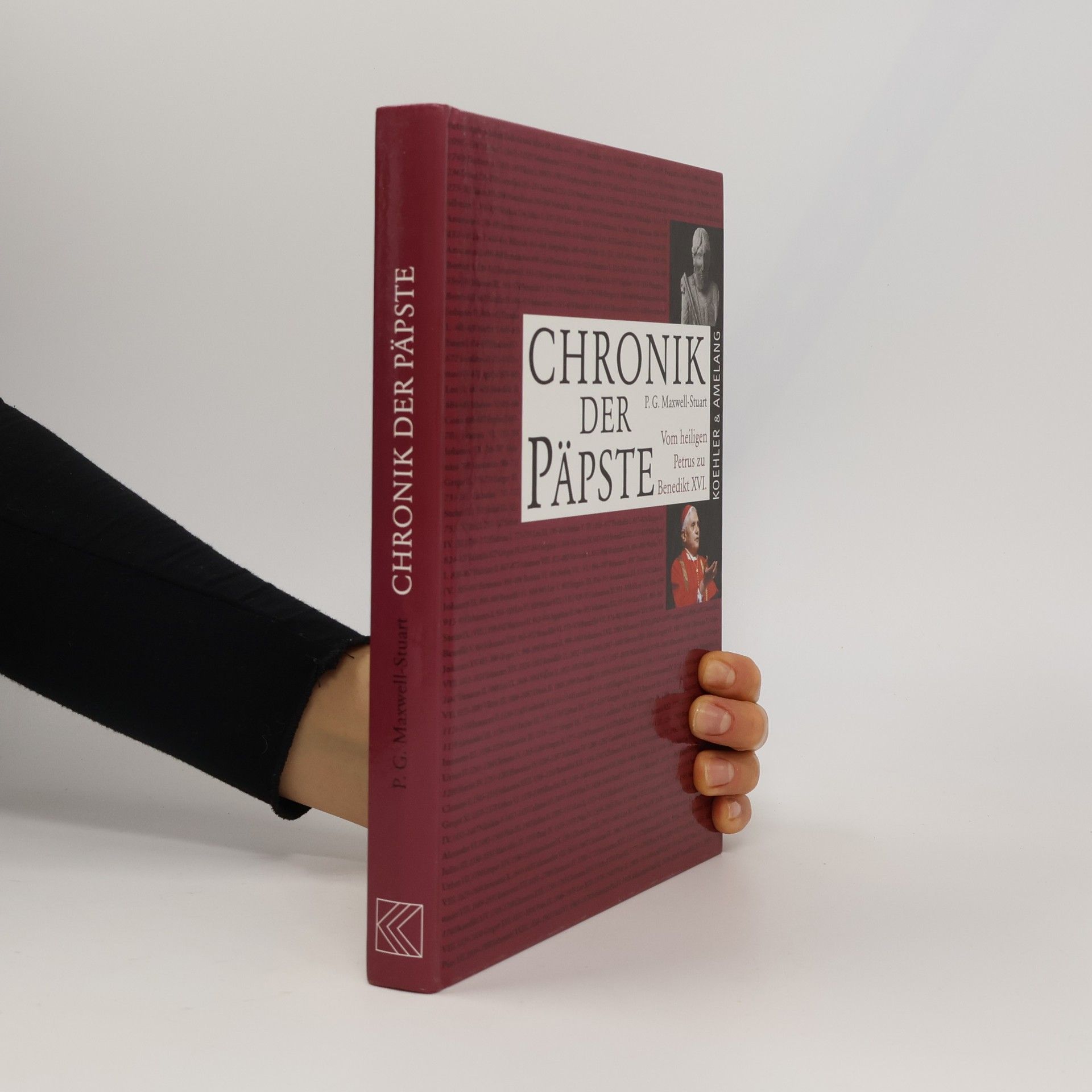 P. G. Maxwell-Stuart Chronik der Päpste