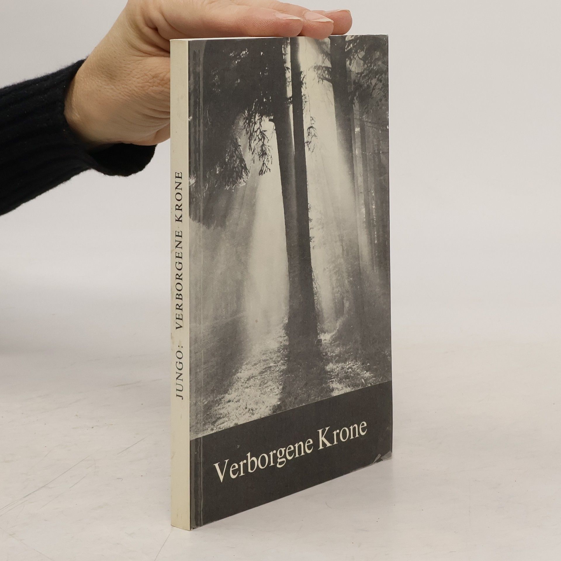 Michael Jungo Verborgene Krone