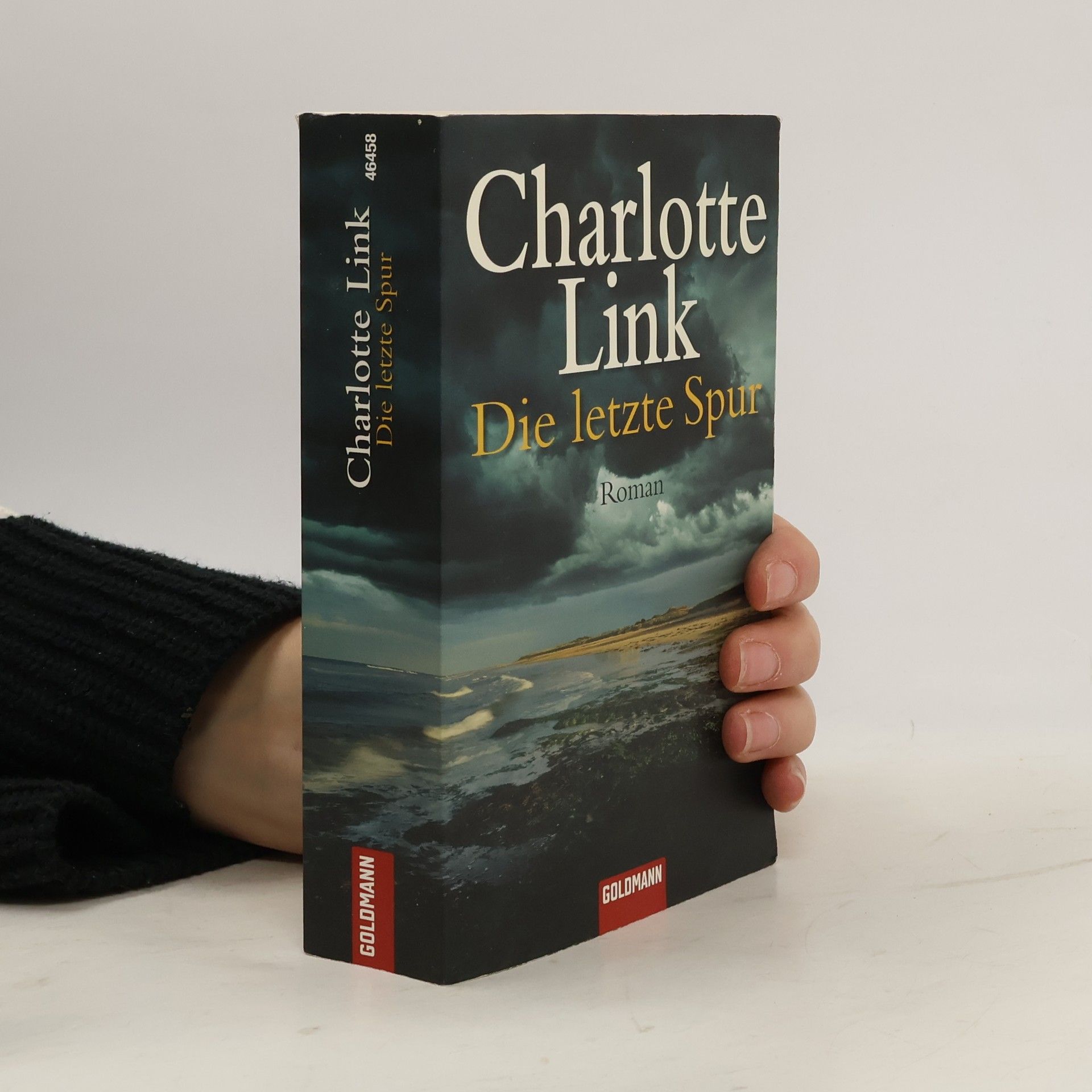 Charlotte Link Die letzte Spur