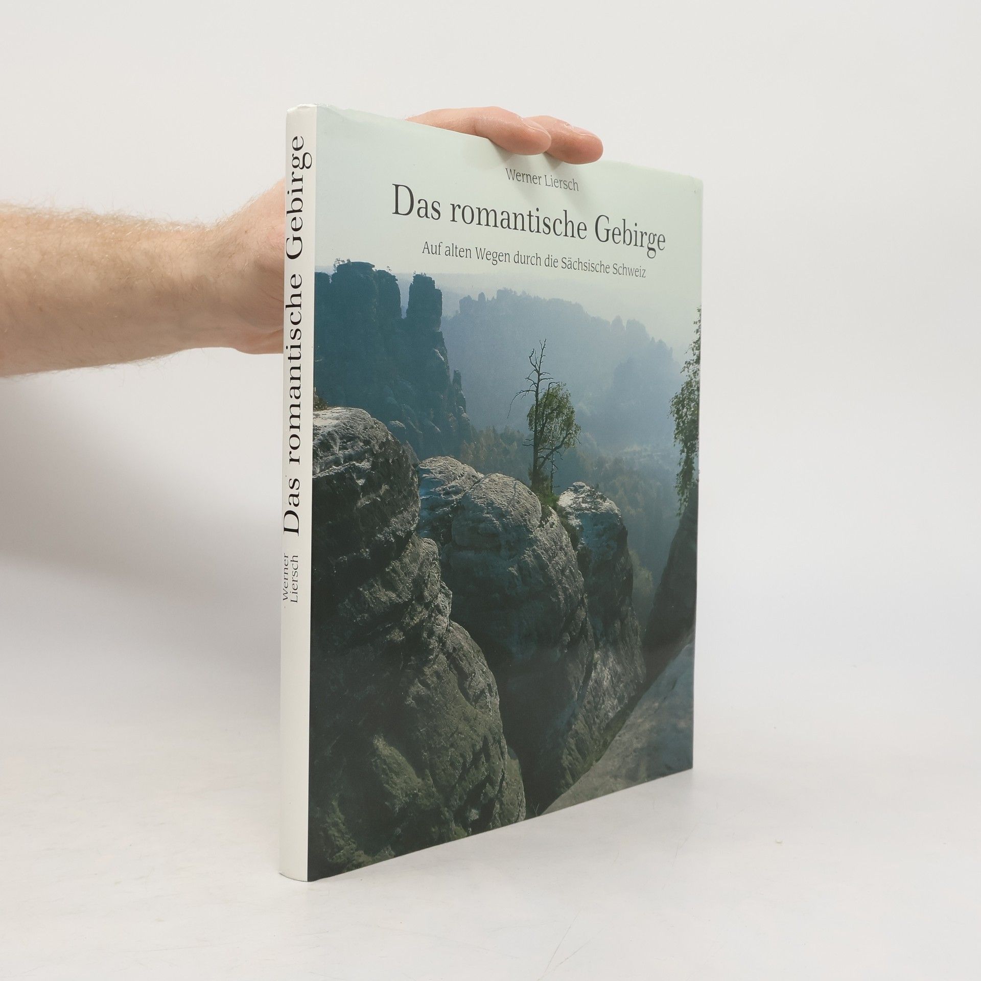 Das romantische Gebirge