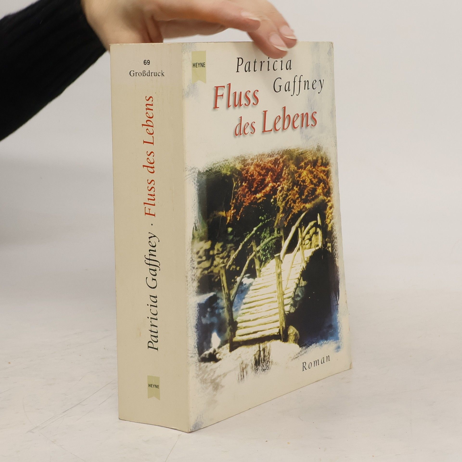 Patricia Gaffney Fluss des Lebens