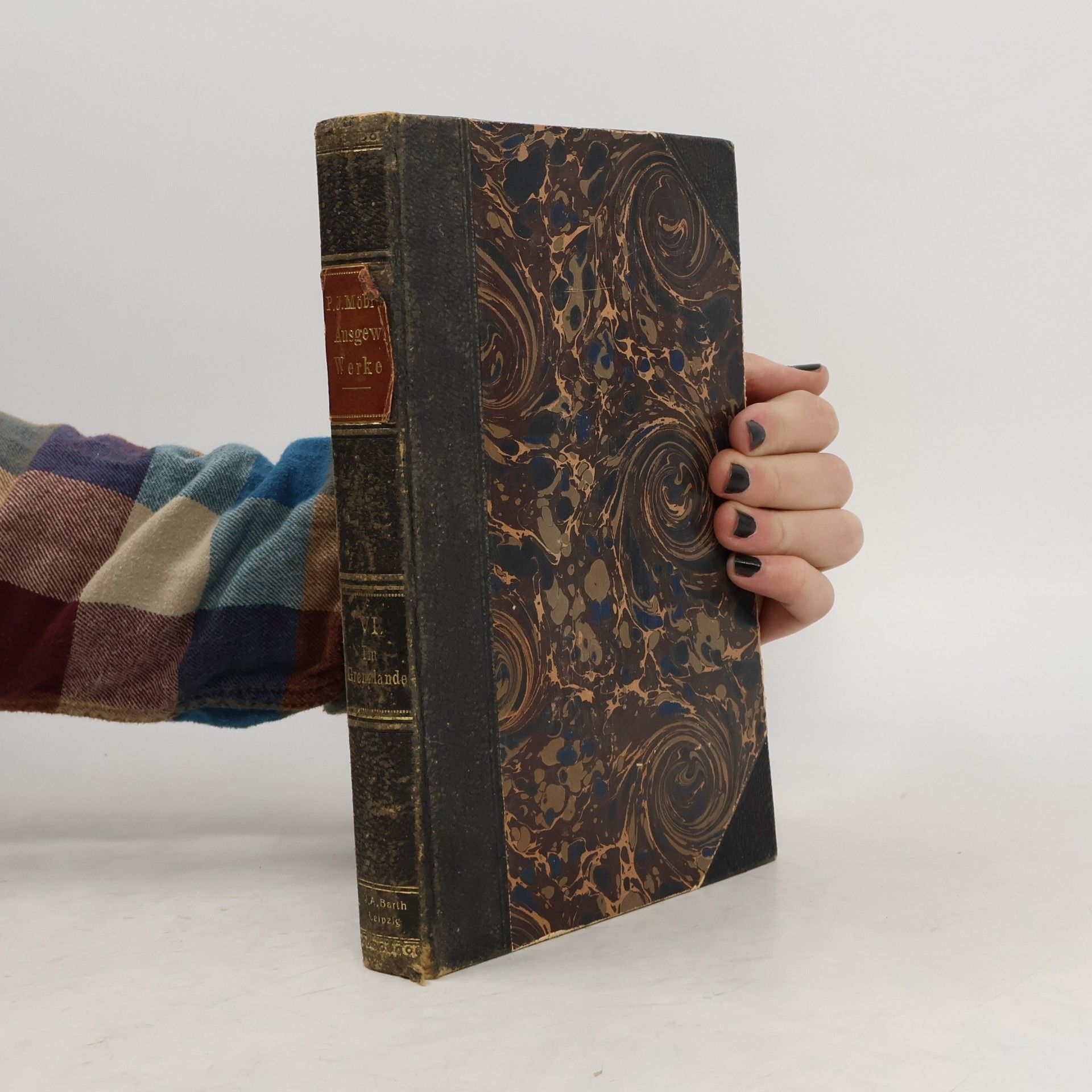 P. J. Möbius Im Grenzlande