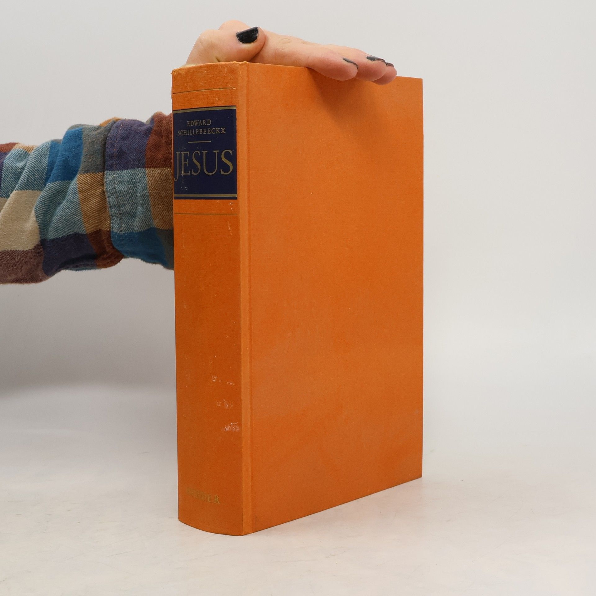 Edward Schillebeeckx Jesus: die Geschichte von einem Lebenden