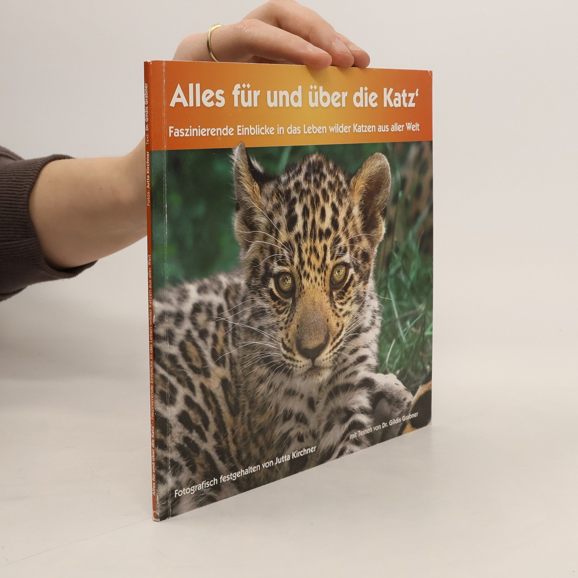 Alles für und über die Katz'