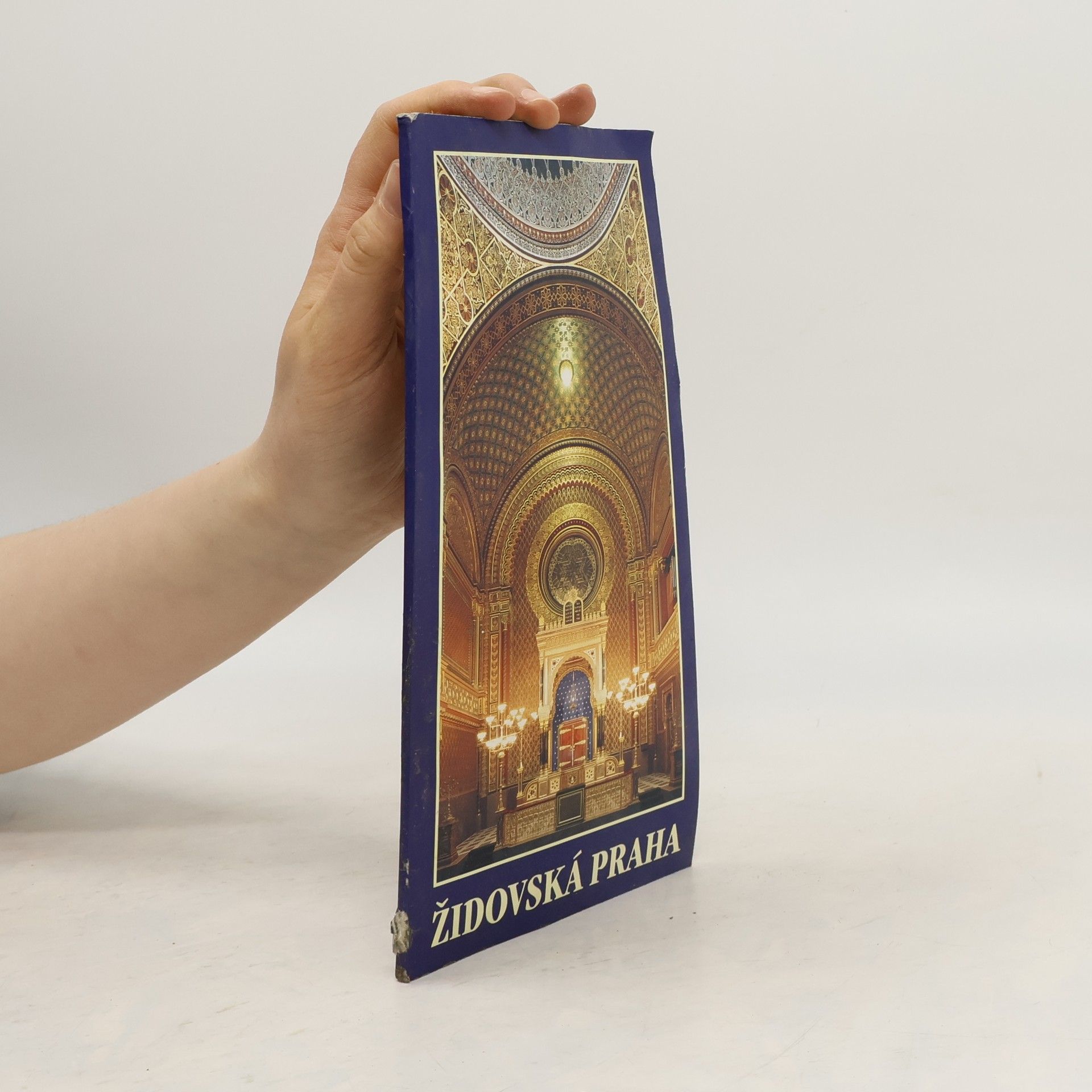 Arno Pařík Židovská Praha