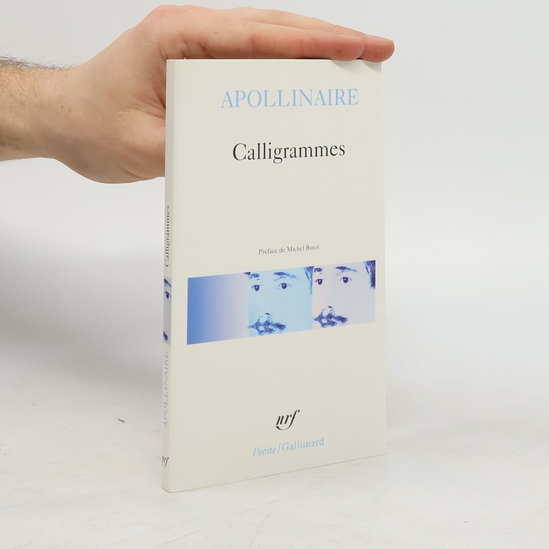 Guillaume Apollinaire Calligrammes