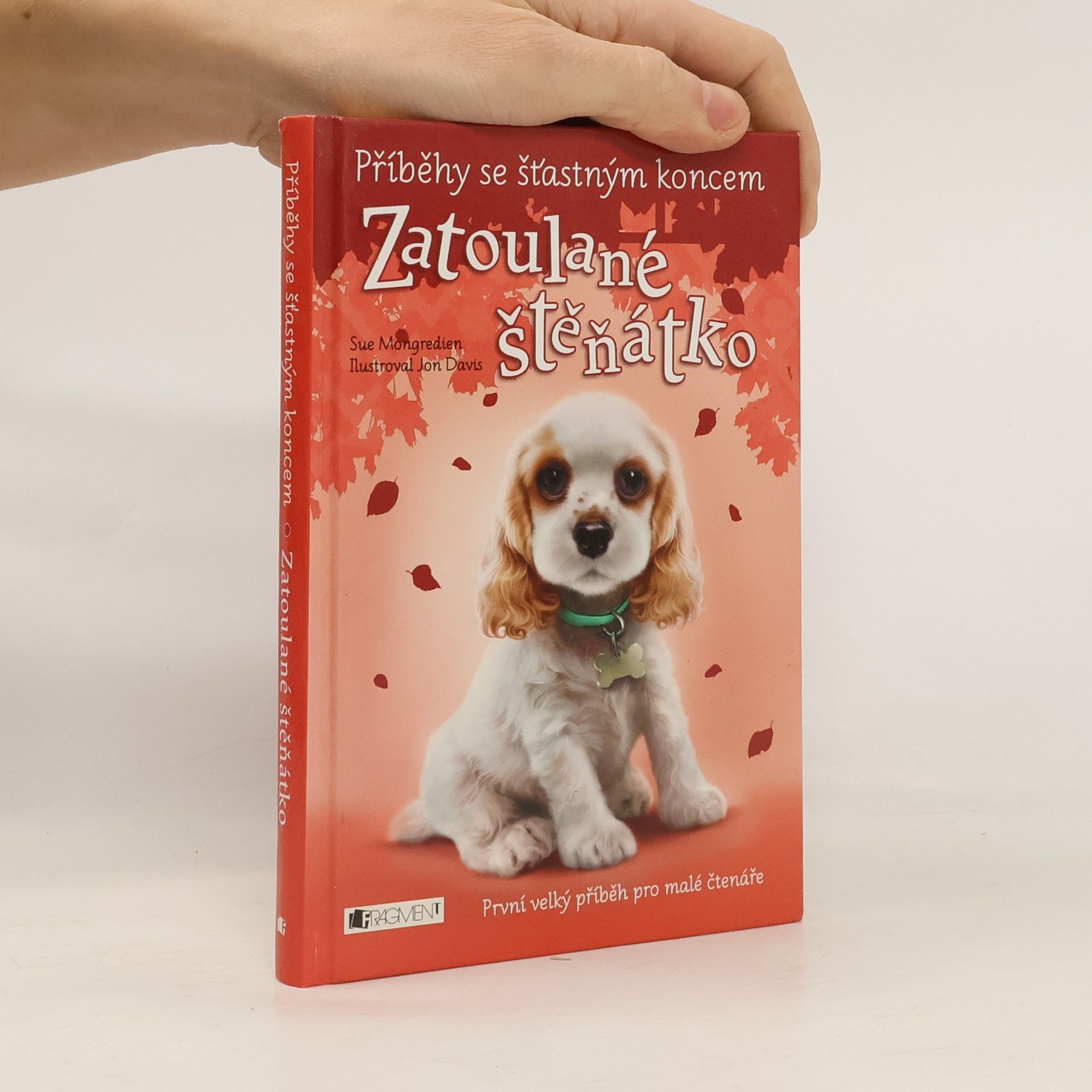 Jon Davis Zatoulané štěňátko