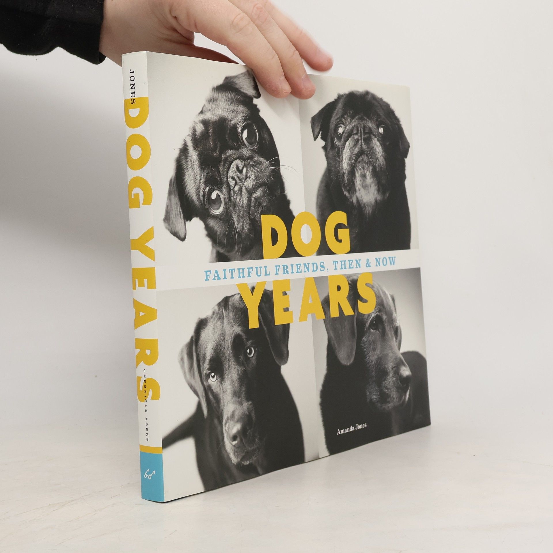 Amanda Jones Dog Years