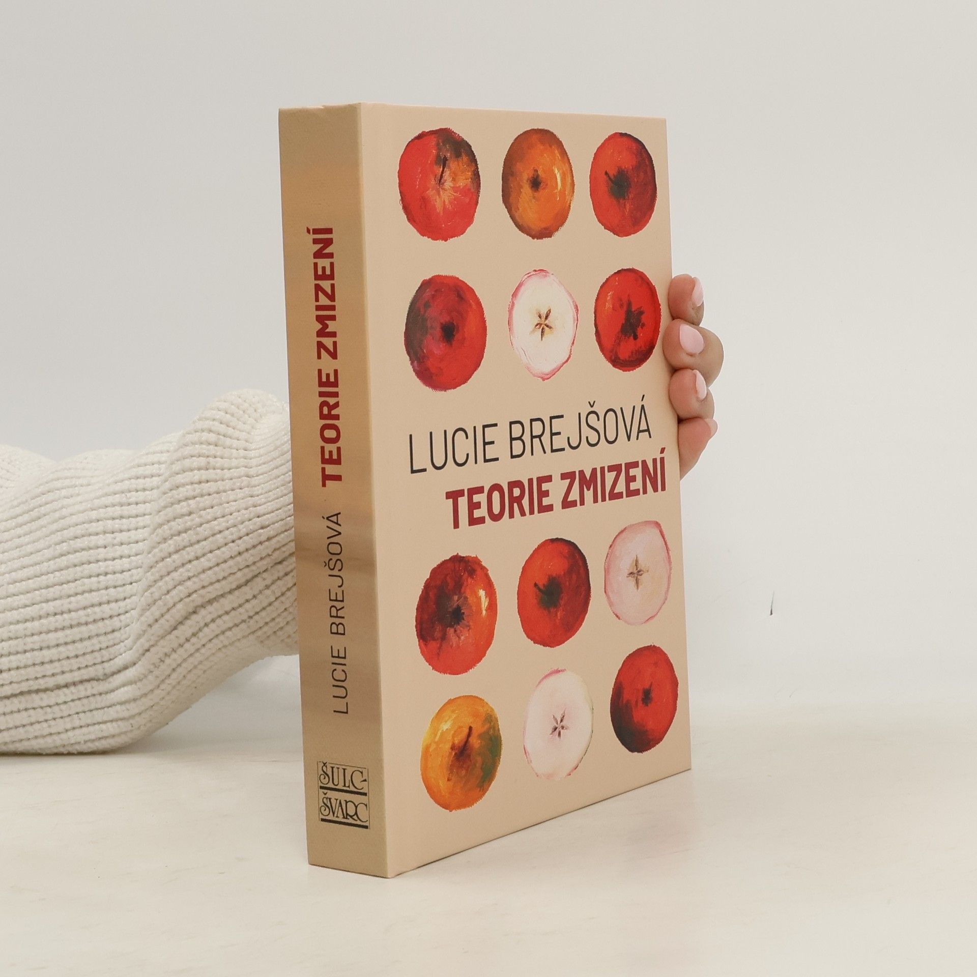 Lucie Brejšová Teorie zmizení