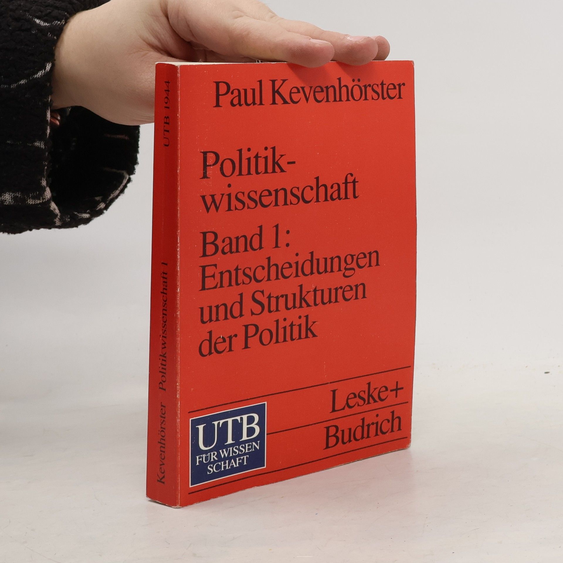 Entscheidungen und Strukturen in der Politik