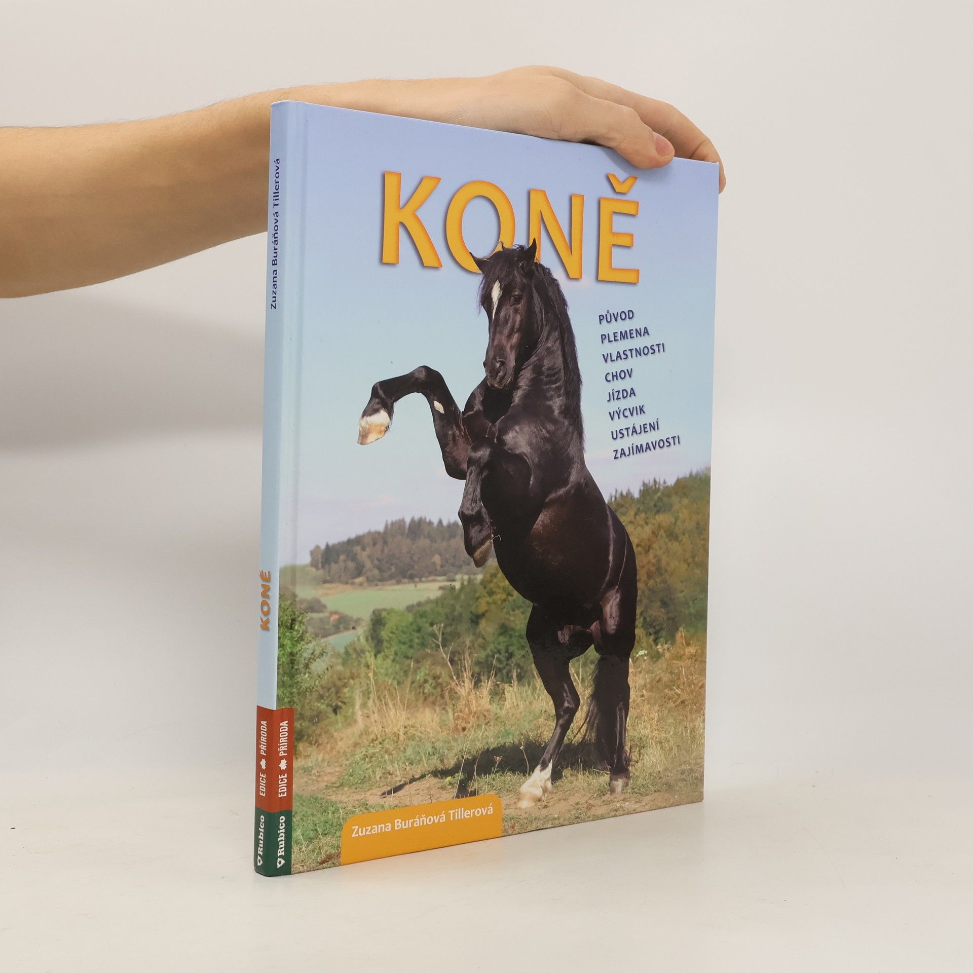 Zuzana Tillerová Koně