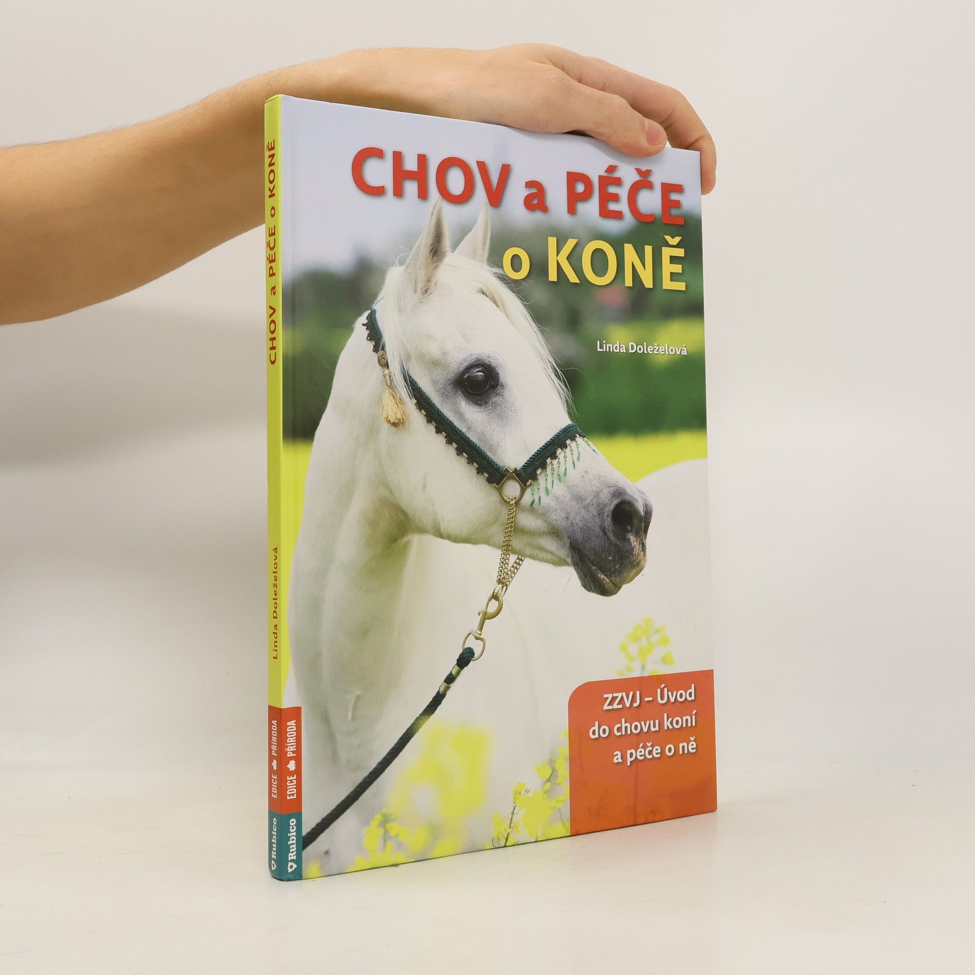 Chov a péče o koně