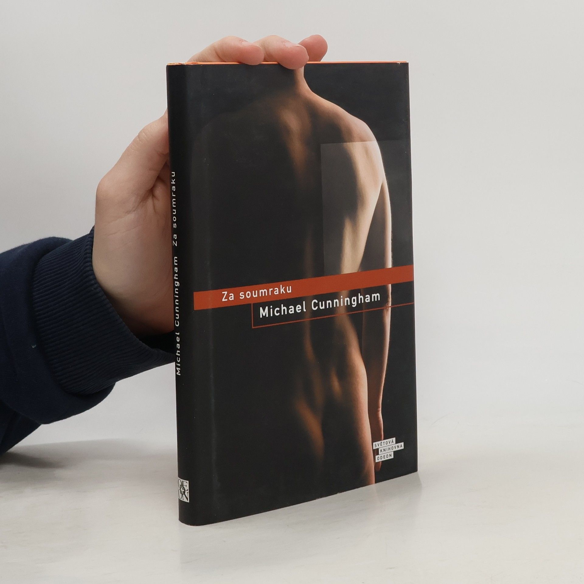 Michael Cunningham Za soumraku