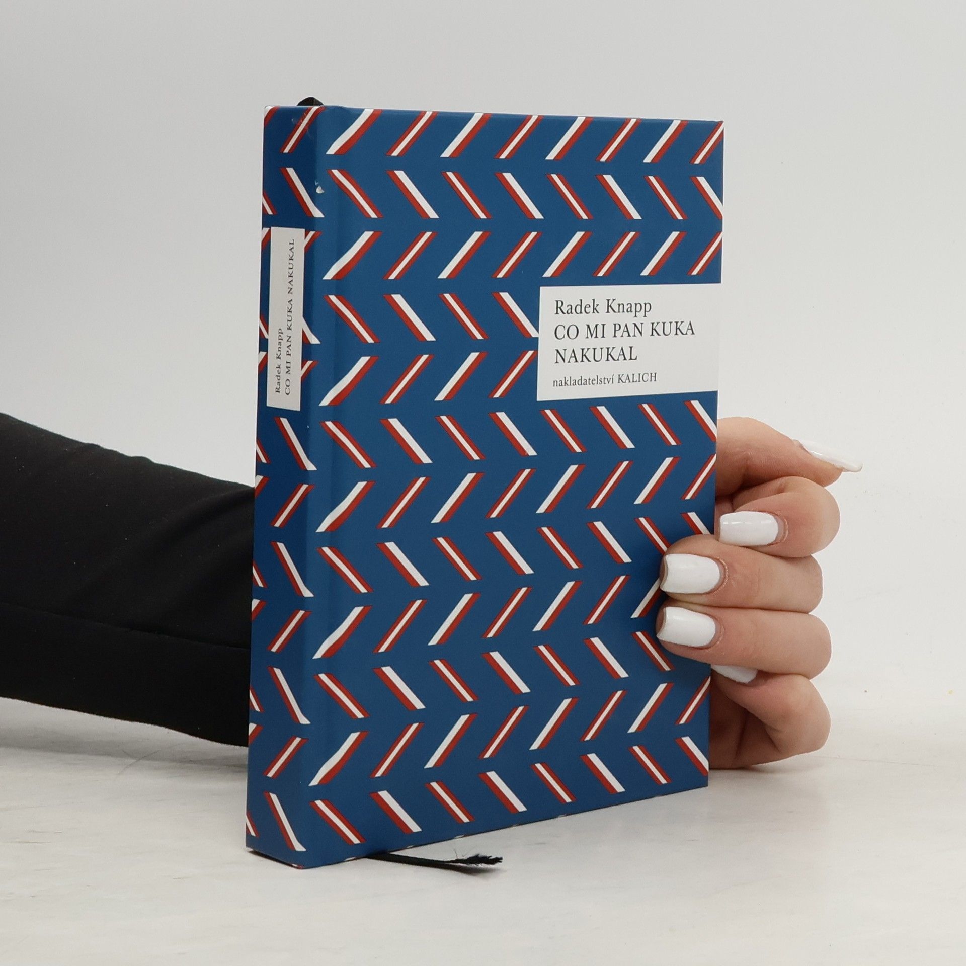 Radek Knapp Co mi pan Kuka nakukal