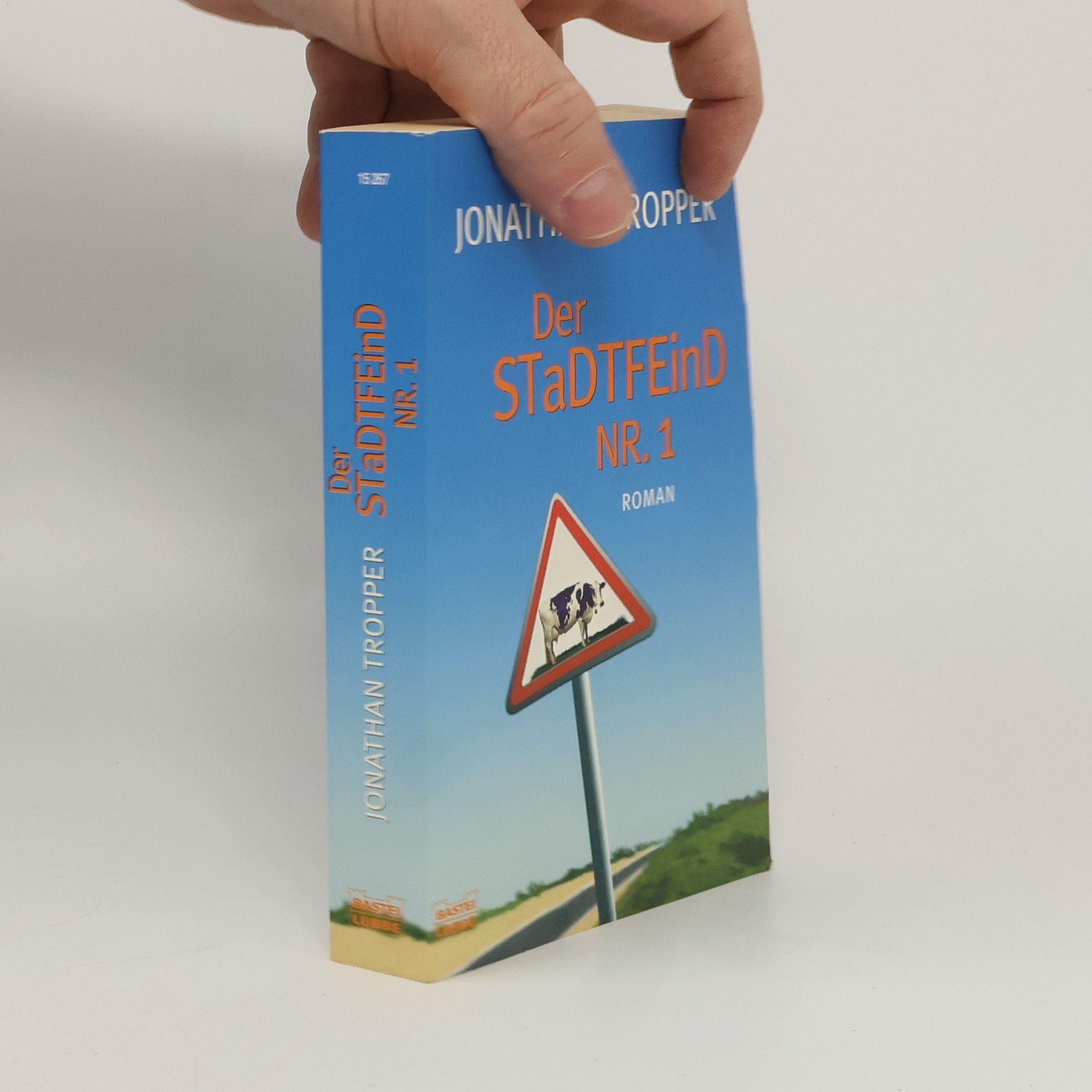 Jonathan Tropper Der Stadtfeind Nr. 1