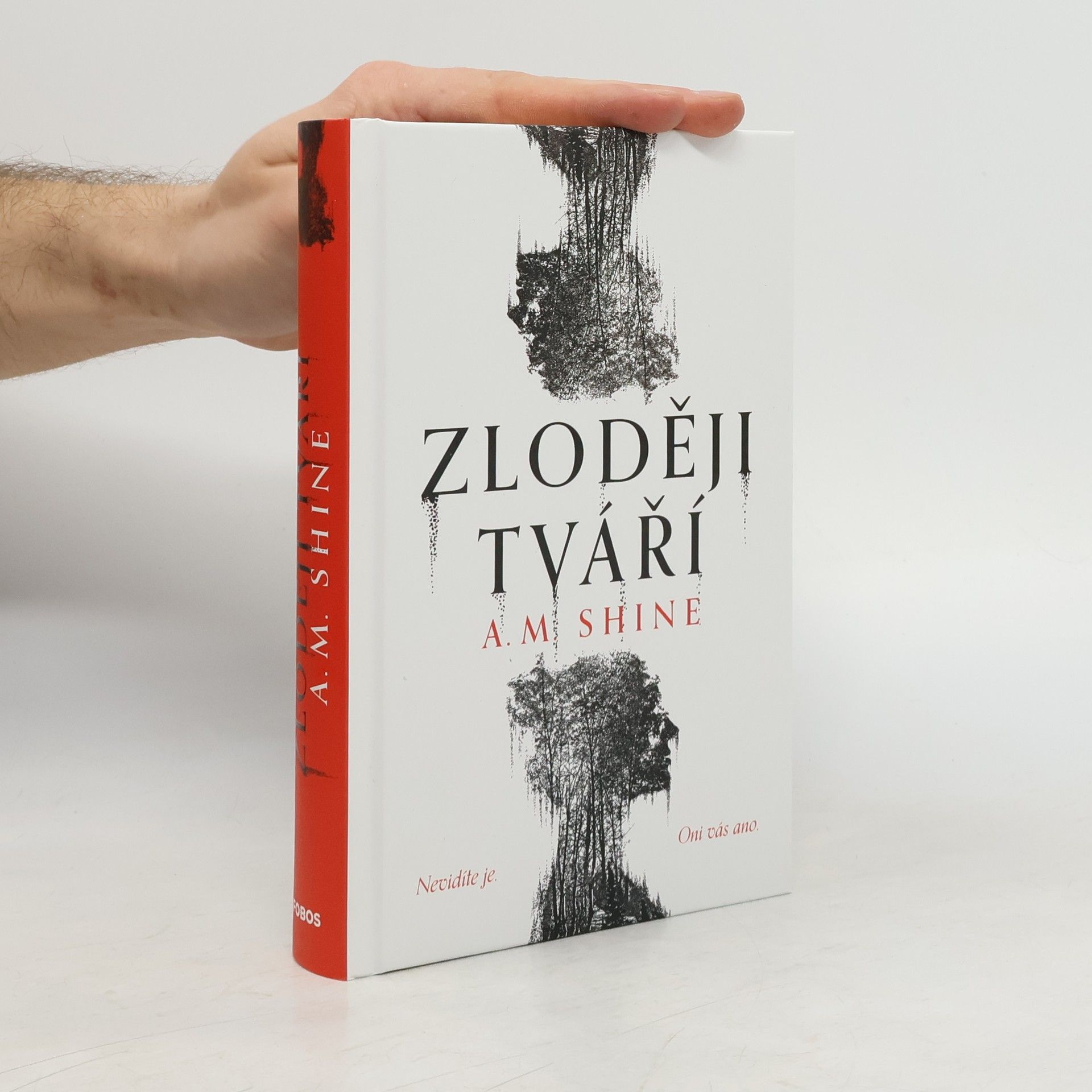 Kateřina Harrison Lipenská Zloději tváří