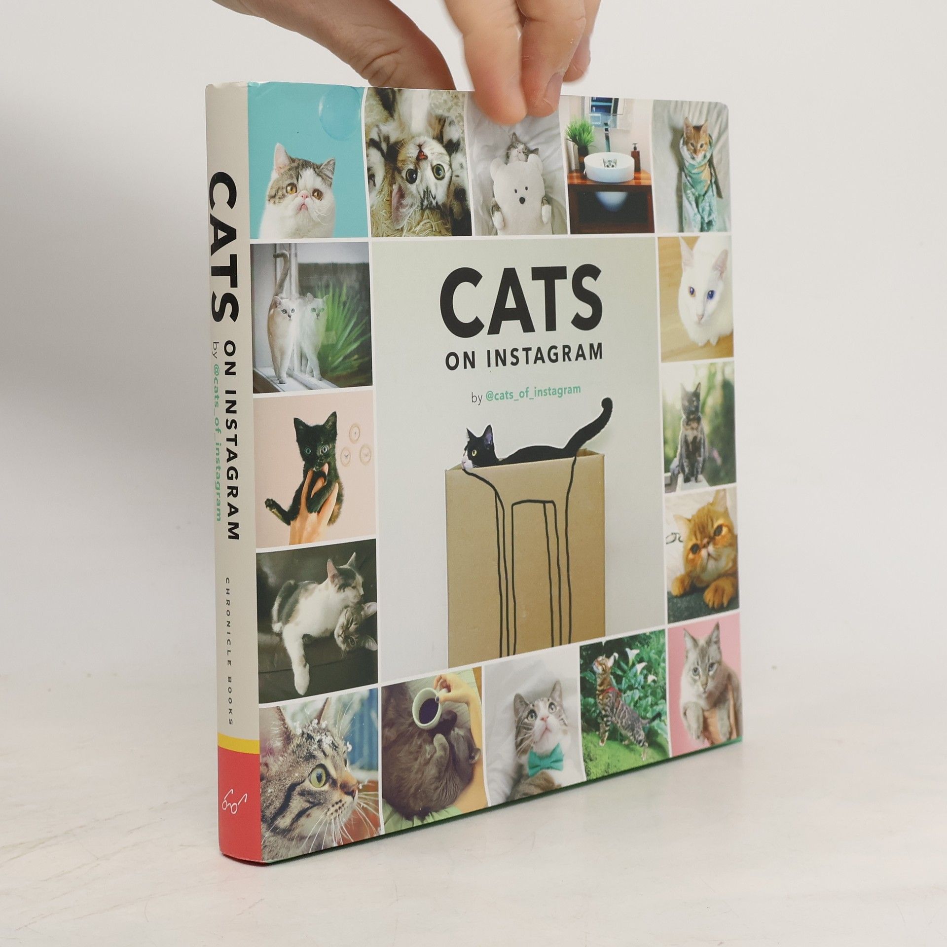 Kolektív autorov Cats on Instagram