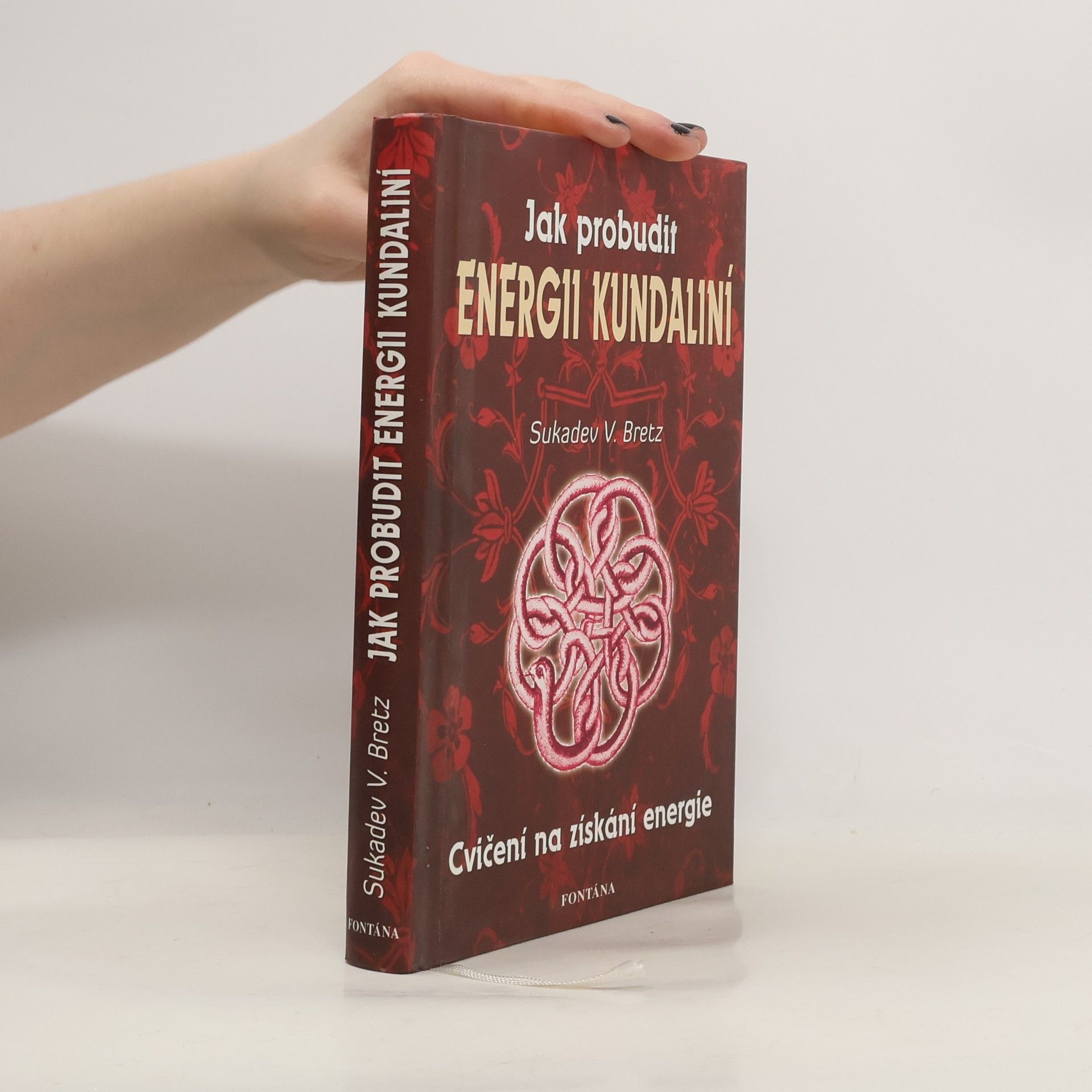 Sukadev Bretz V Jak probudit energii kundaliní