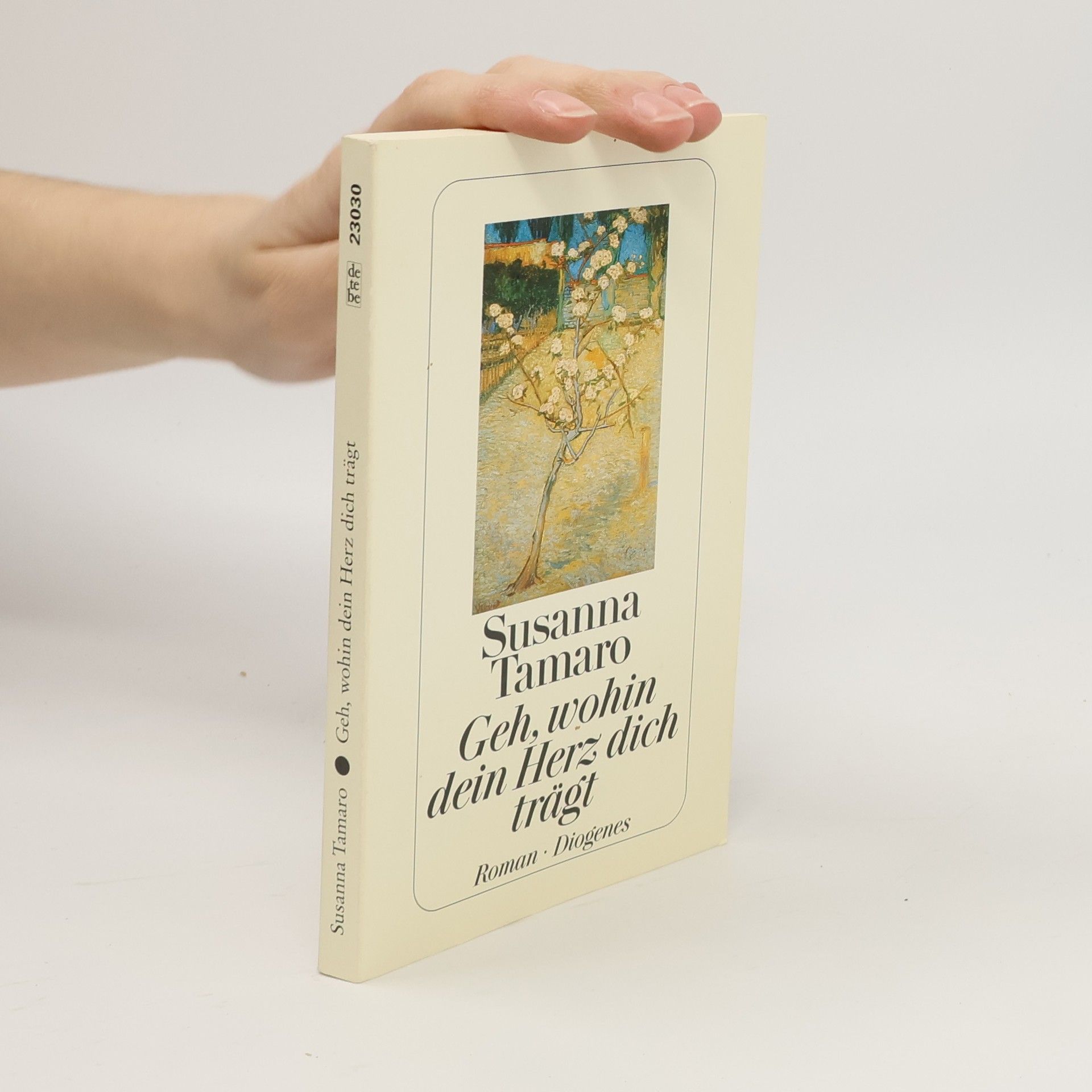 Susanna Tamaro Geh, wohin dein Herz dich trägt