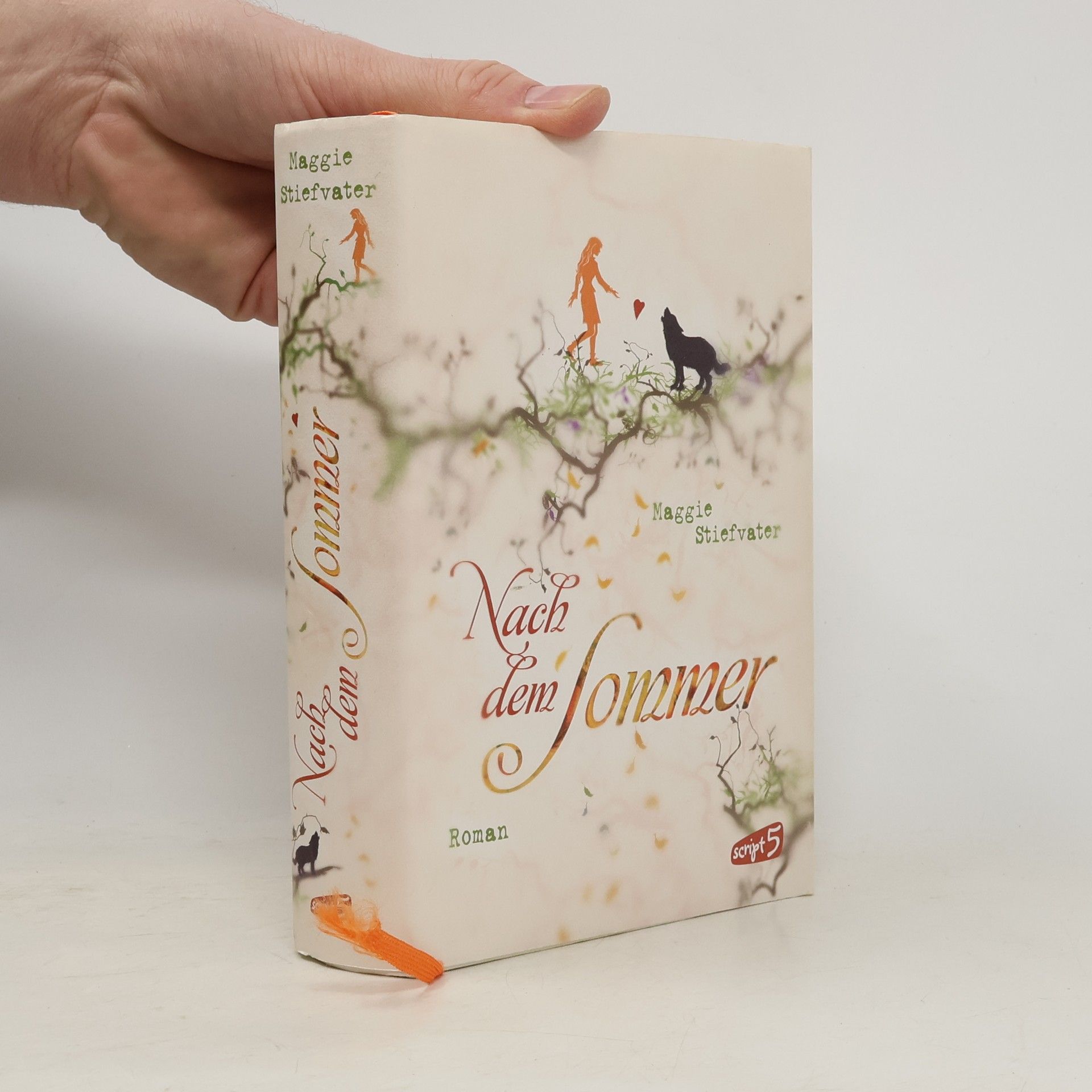 Maggie Stiefvater Nach dem Sommer
